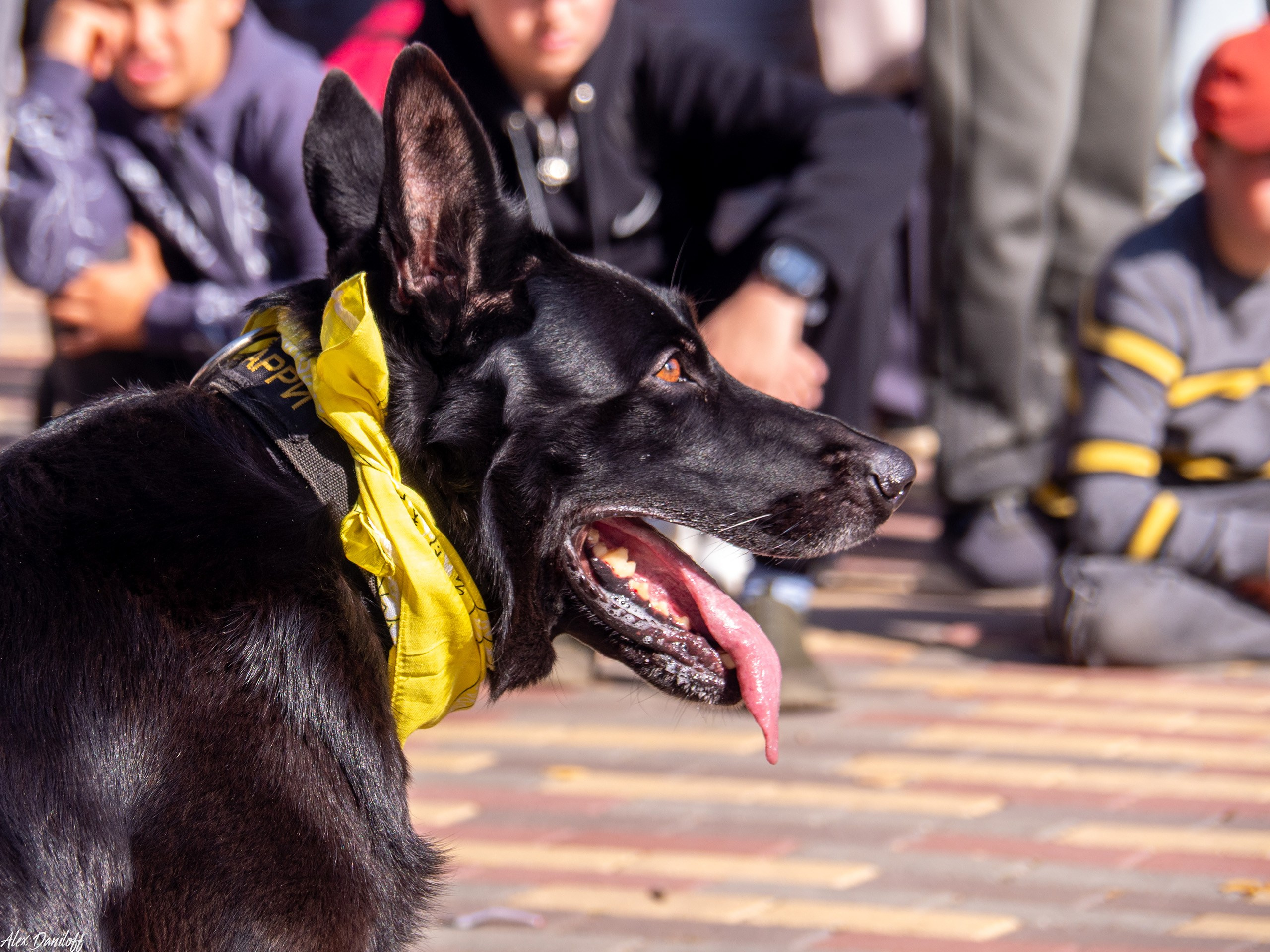 Обнимака 2025. Муром-Инфо. Новости культуры, образования, спорта в городе Муром