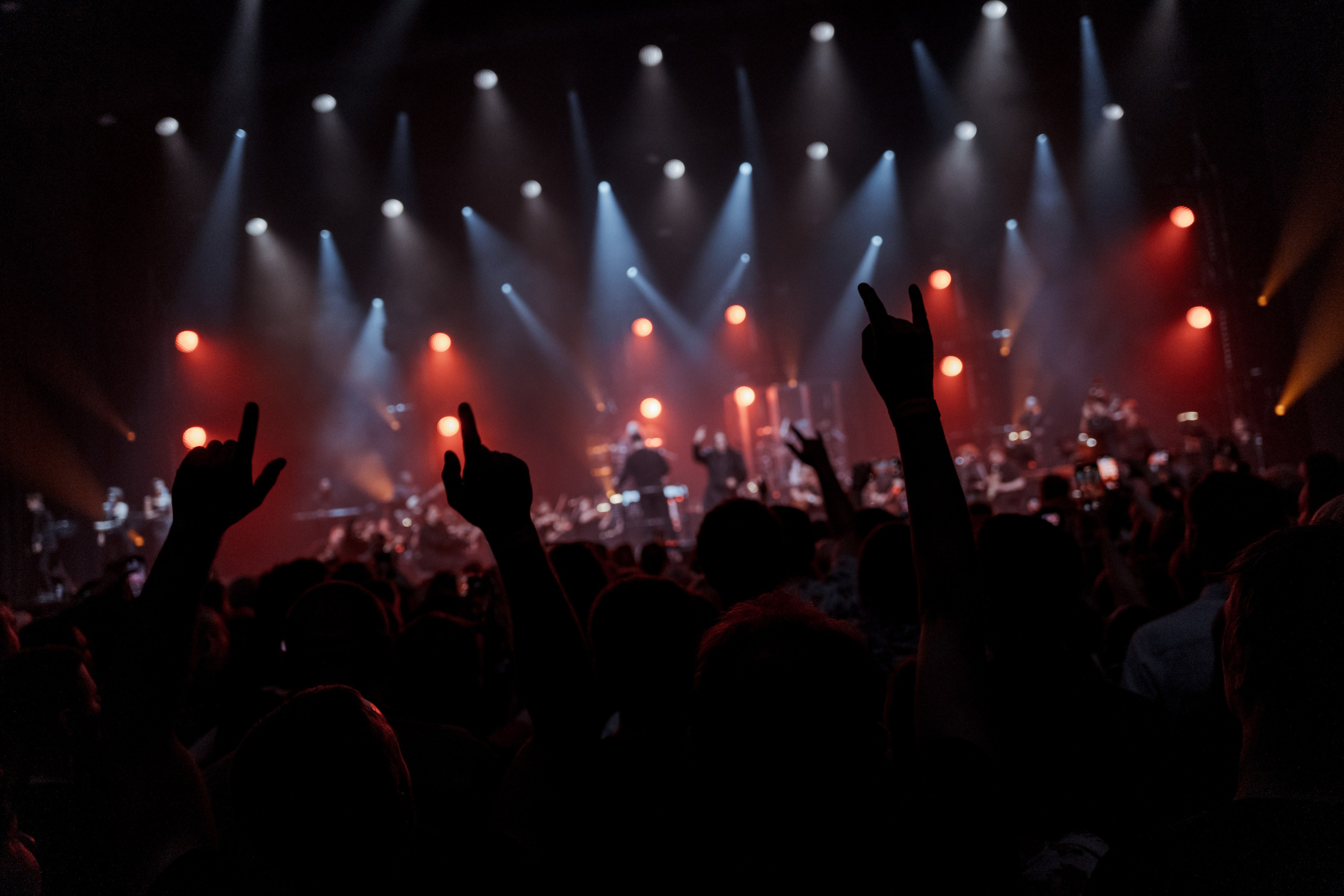 Алексей Горшенёв. Магия музыки в кадре: Концертная Фотография