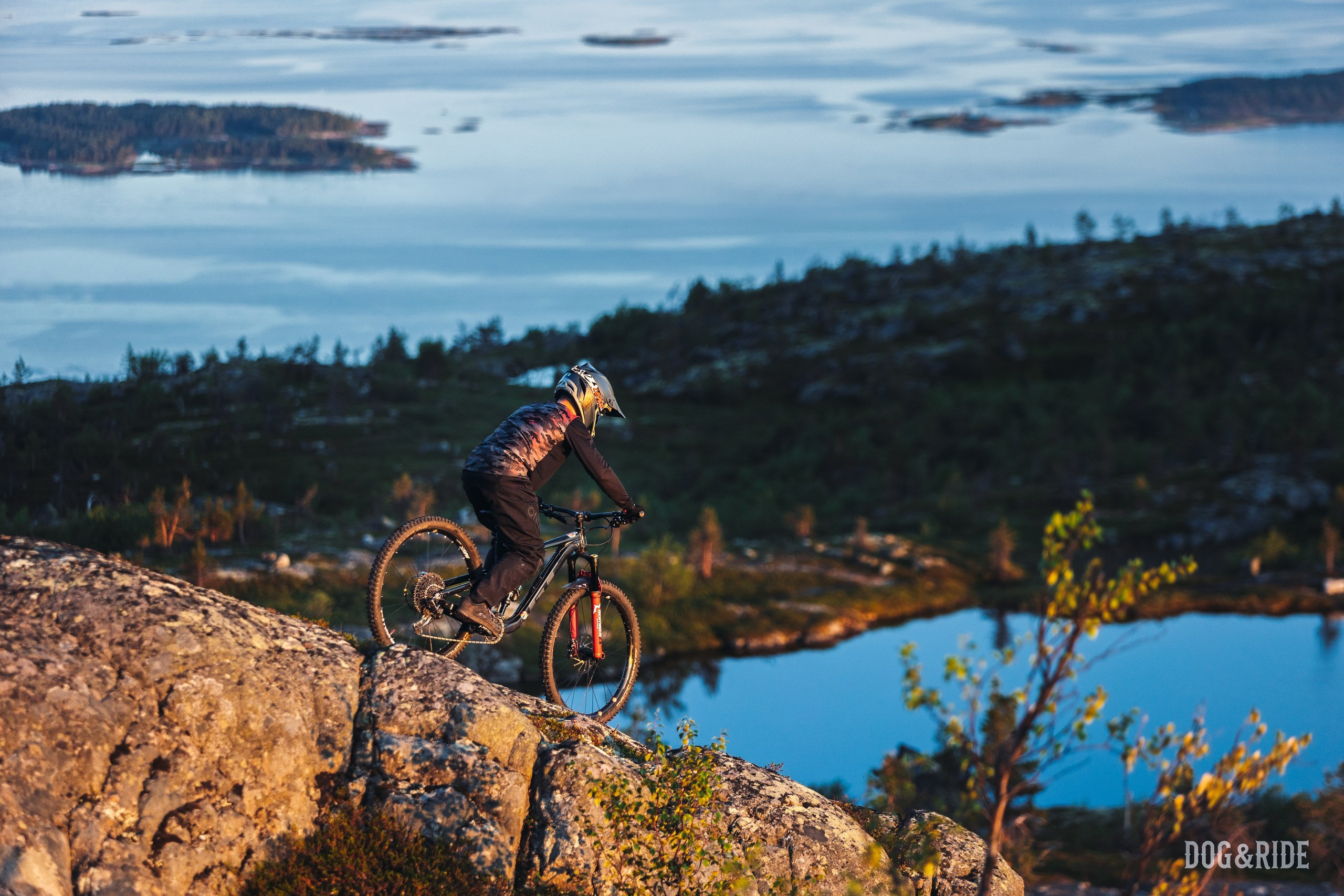Кандалакшка. Фотограф анималист Никита Натальный