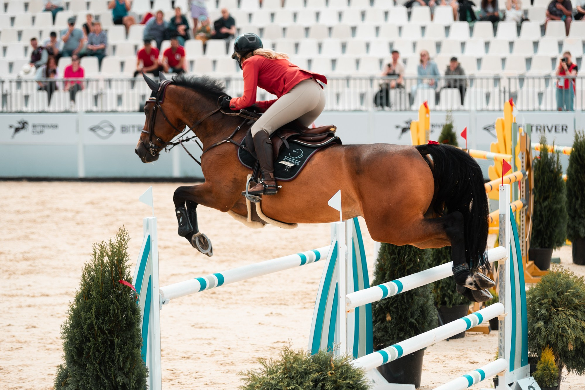 BITRIVER CUP 2023. Конный фотограф Куракина Дарья • Фотосессии с лошадьми