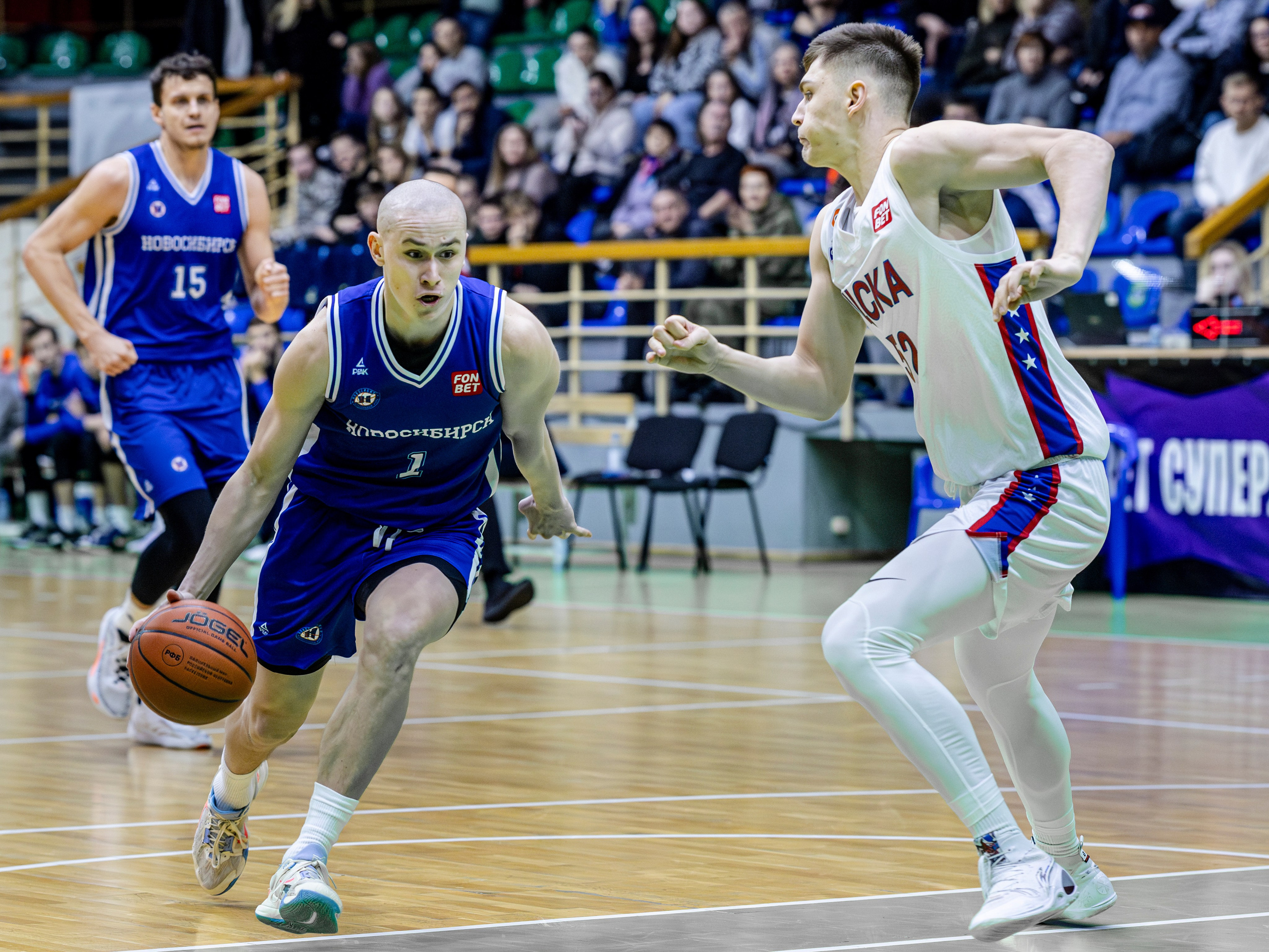 БК Новосибирск. Bertran Ordo