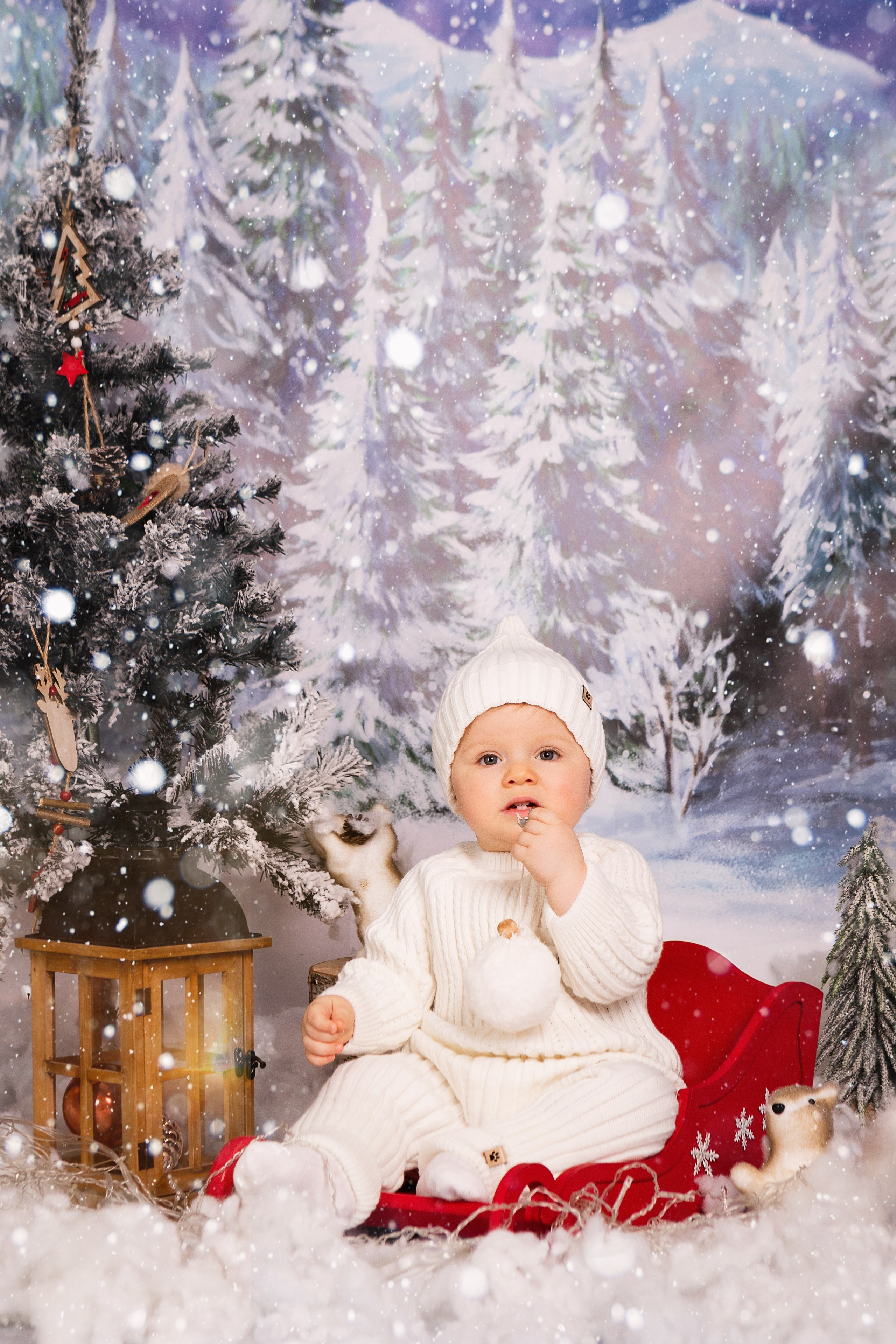 Новый год 2026. ФОТОГРАФ НА ГОДИК, БЕРЕМЕННОСТИ, НОВОРОЖДЕННЫХ, КРЕЩЕНИЯ МОСКВА