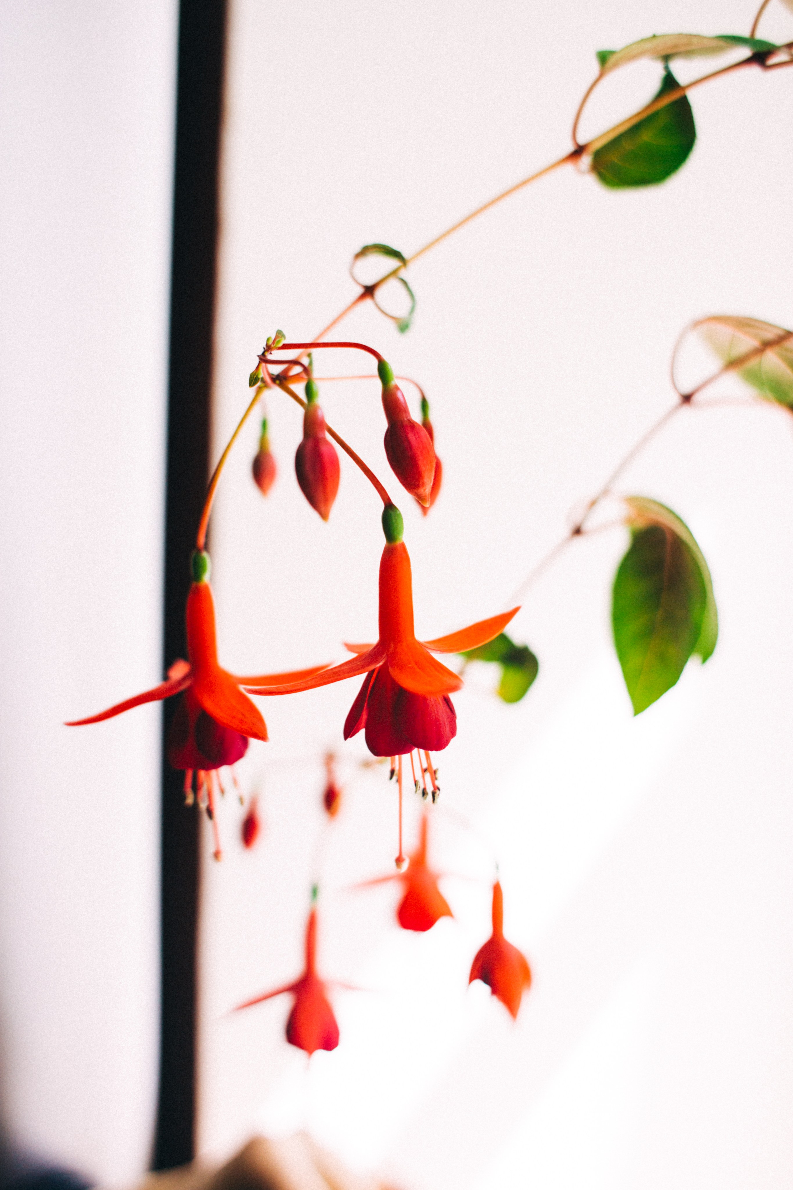 Москва- Рязань 2021. Фотограф в Нижнем Новгороде