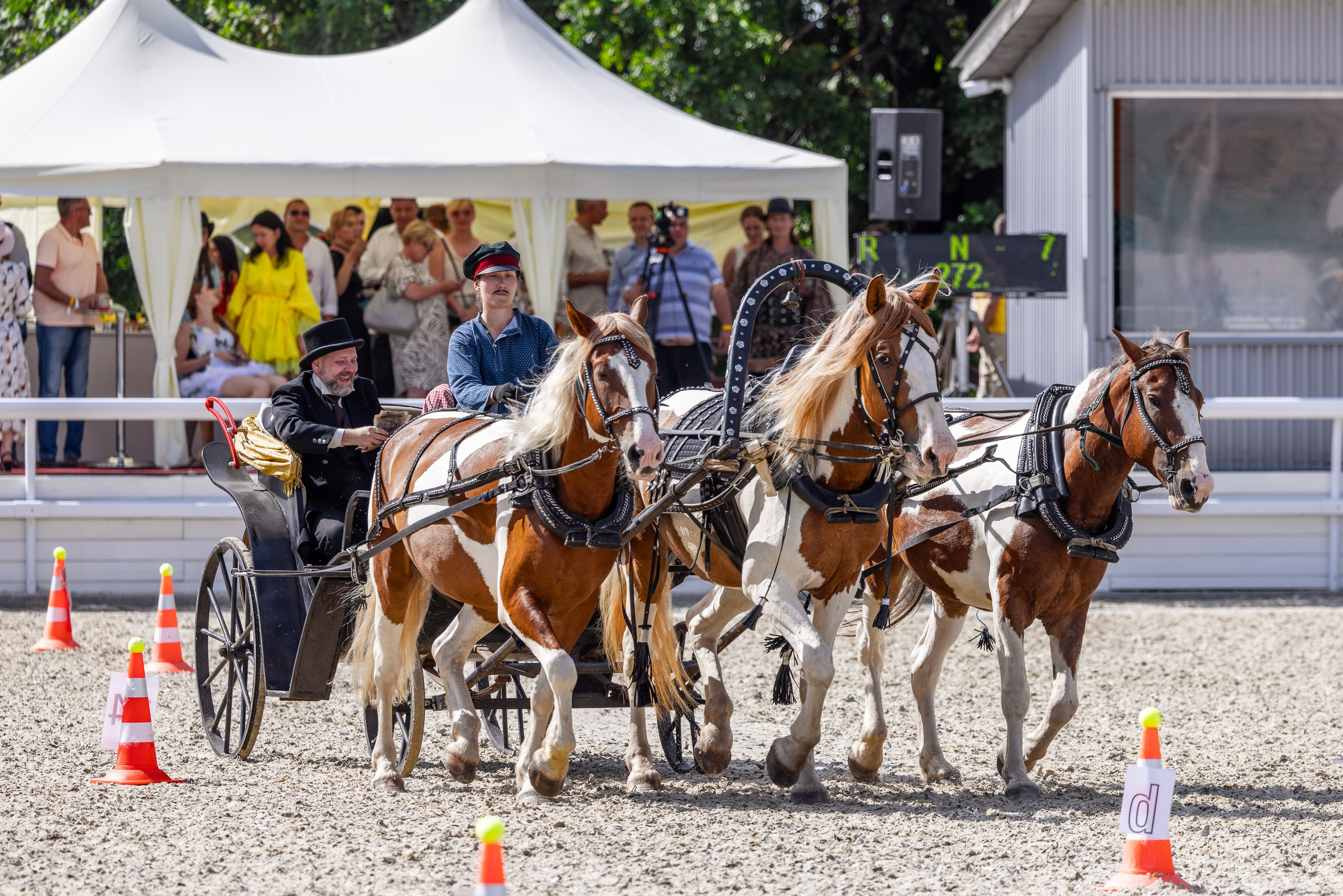 Конные выставки. Mrs.Aquarelia Конный фотограф Марианна Леонтьева