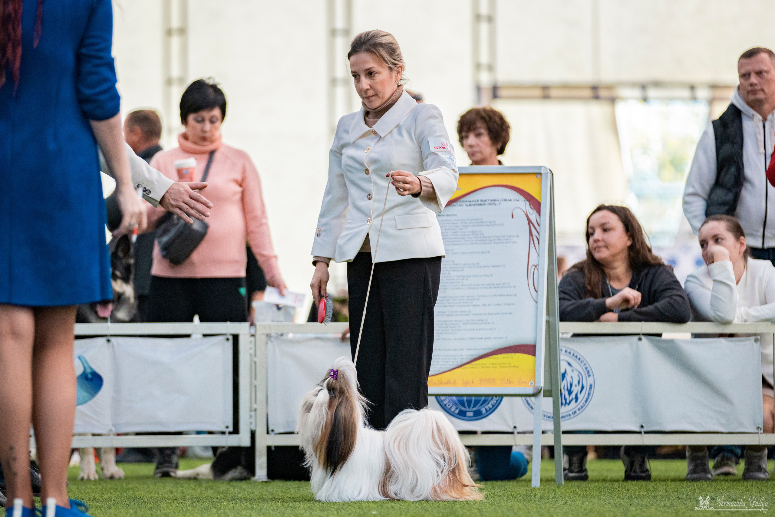 Ташкент 6-8.10.2023 + Алматы 14-15.10.2023. Фотограф-анималист Юлия Германика