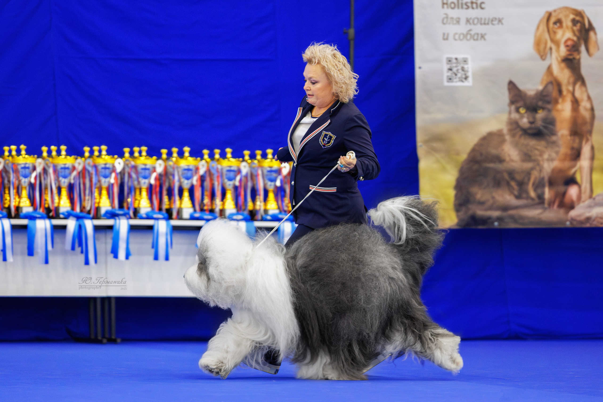 Питер 12-13.12.2025. Фотограф-анималист Юлия Германика