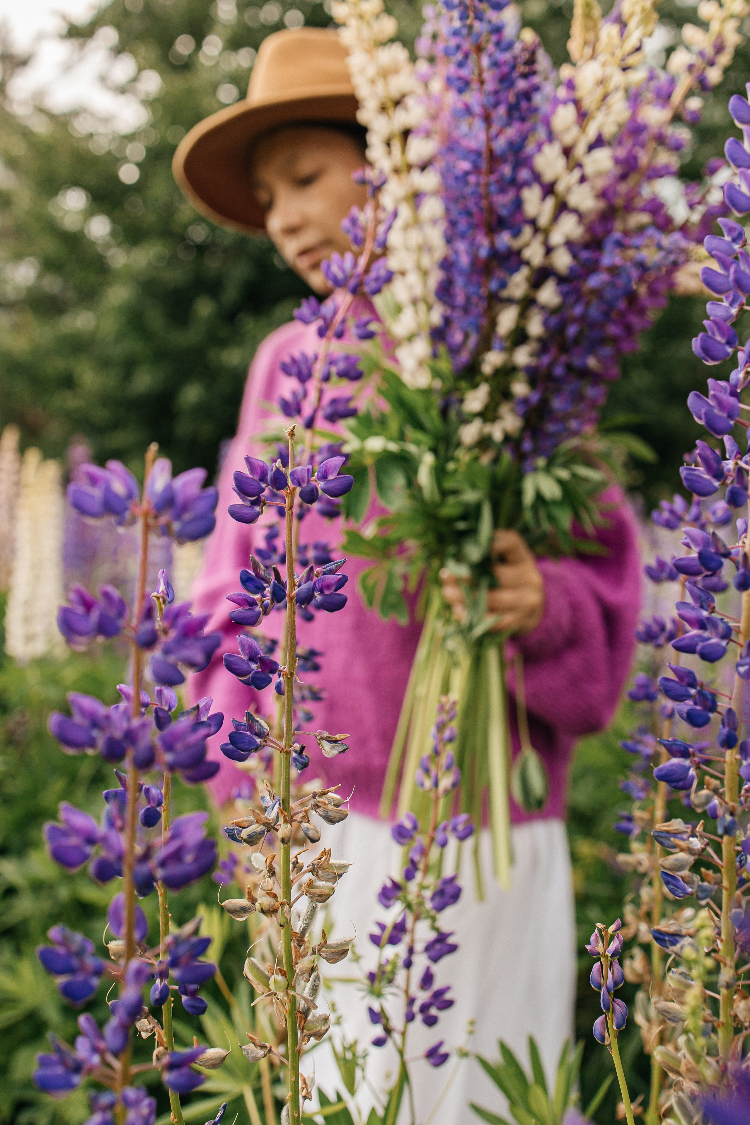 Люпины. Фотограф в Санкт-Петербурге Аня Григорьева ♡