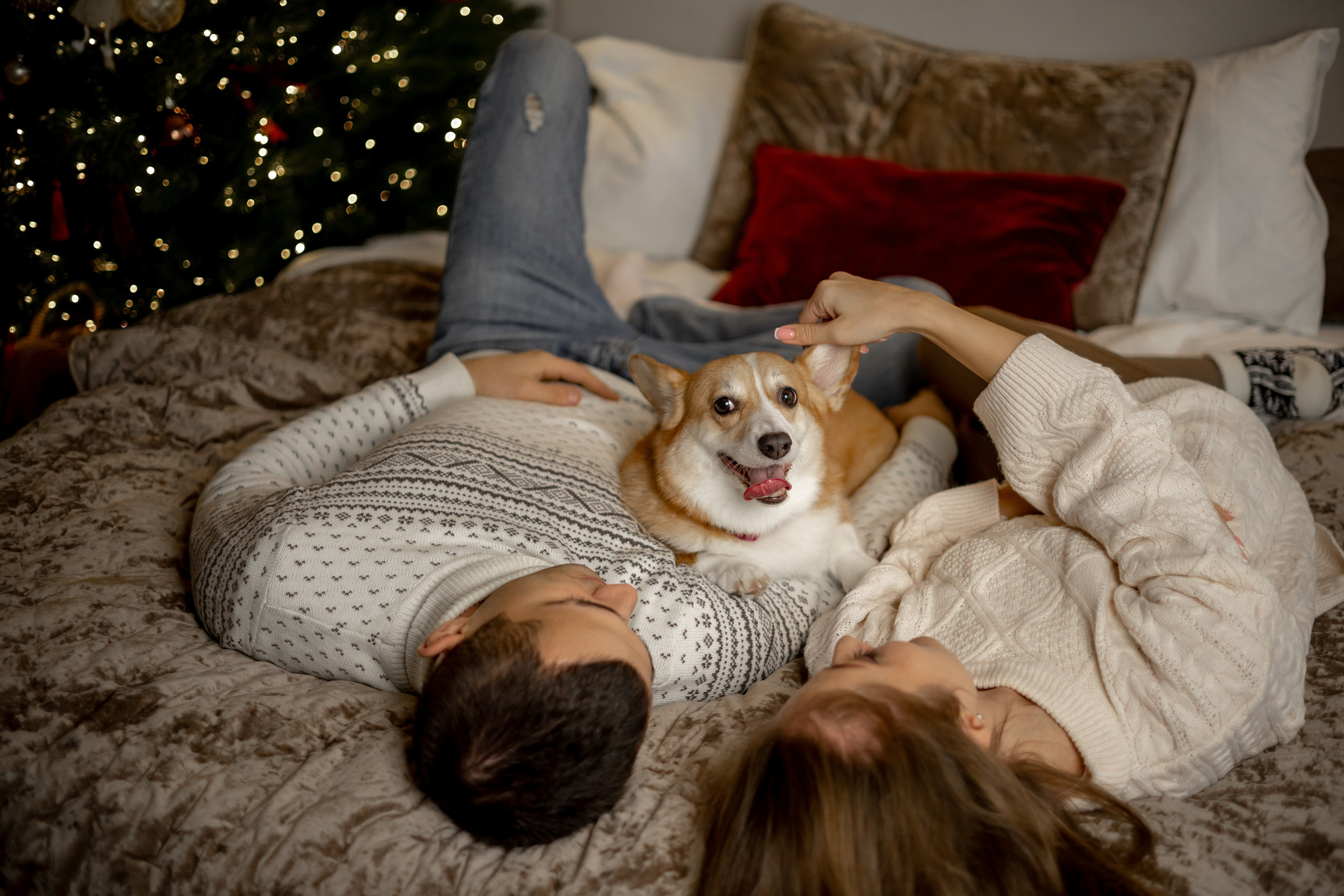 Новогодний хвостик. Свадебный и семейный фотограф в Севастополе и в Крыму Анастасия Корчак