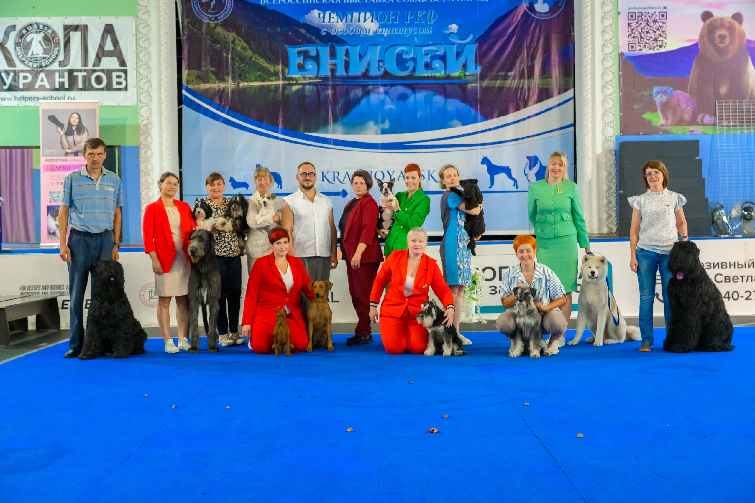 Отзывы. Фотограф анималист Елена Галдина г. Красноярск