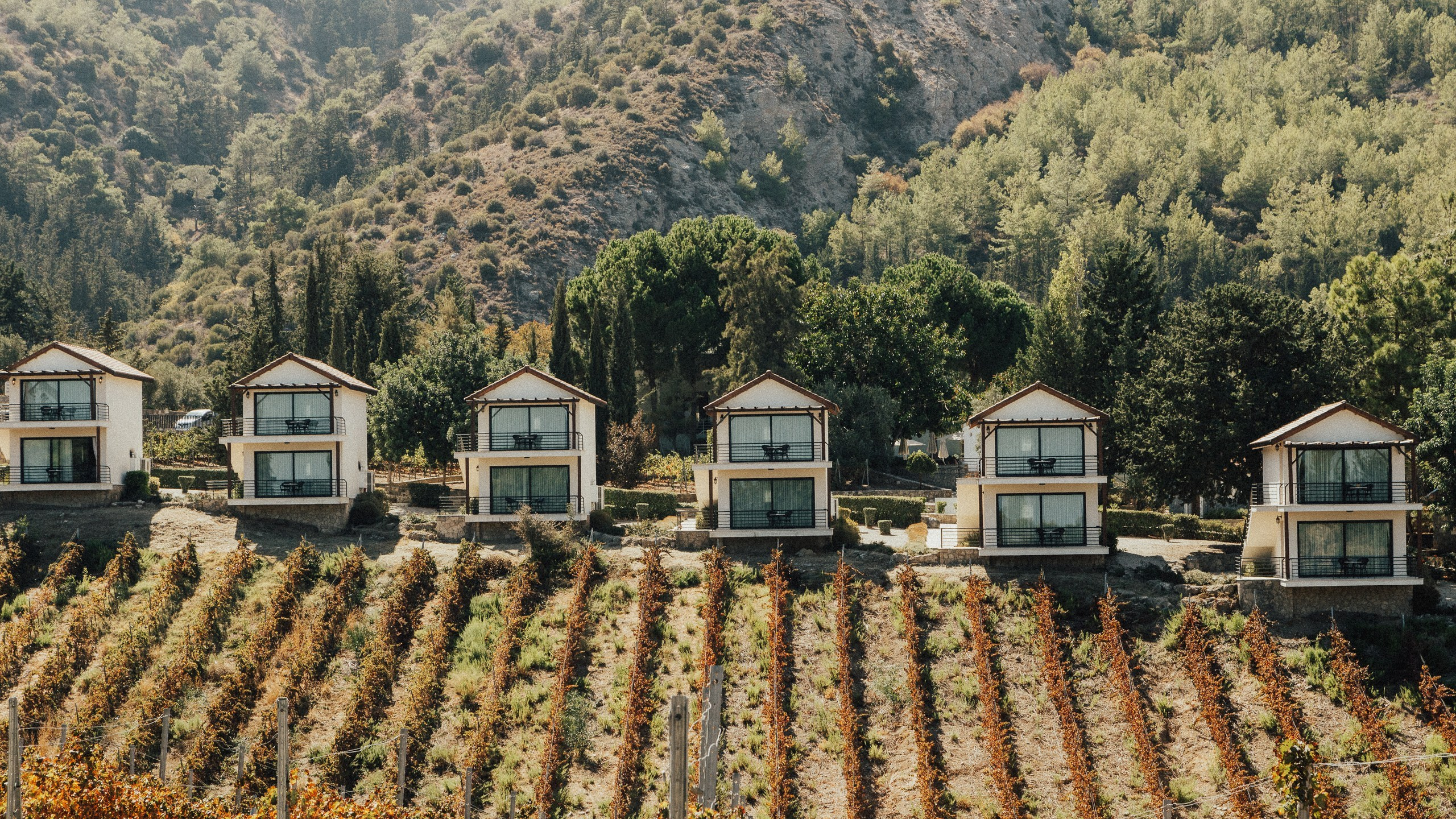 L&A. Фотограф в Батуми Павел Шарников