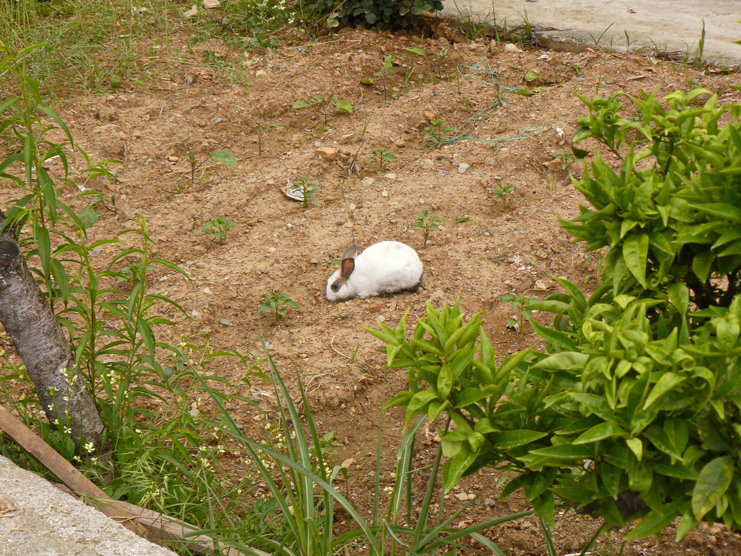 Алания 2014. Фотопрогулки по Миру