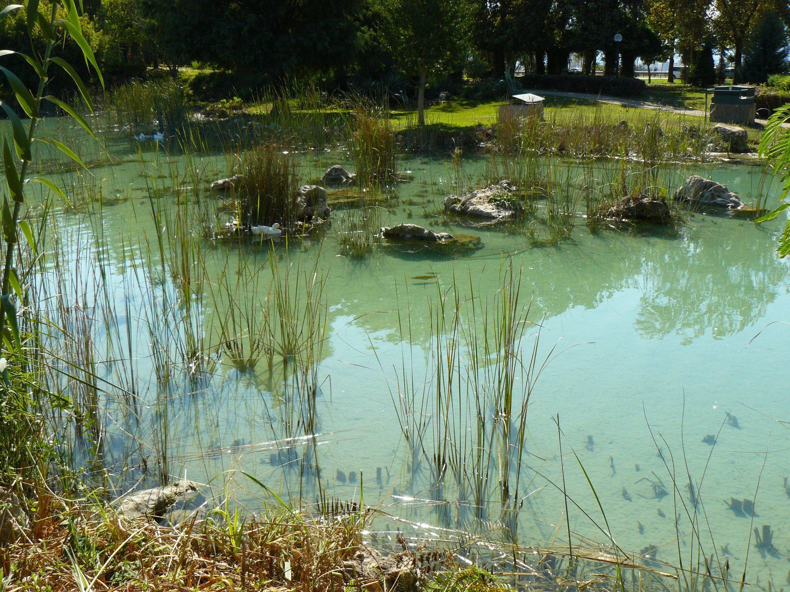 Анталия 2010. Фотопрогулки по Миру