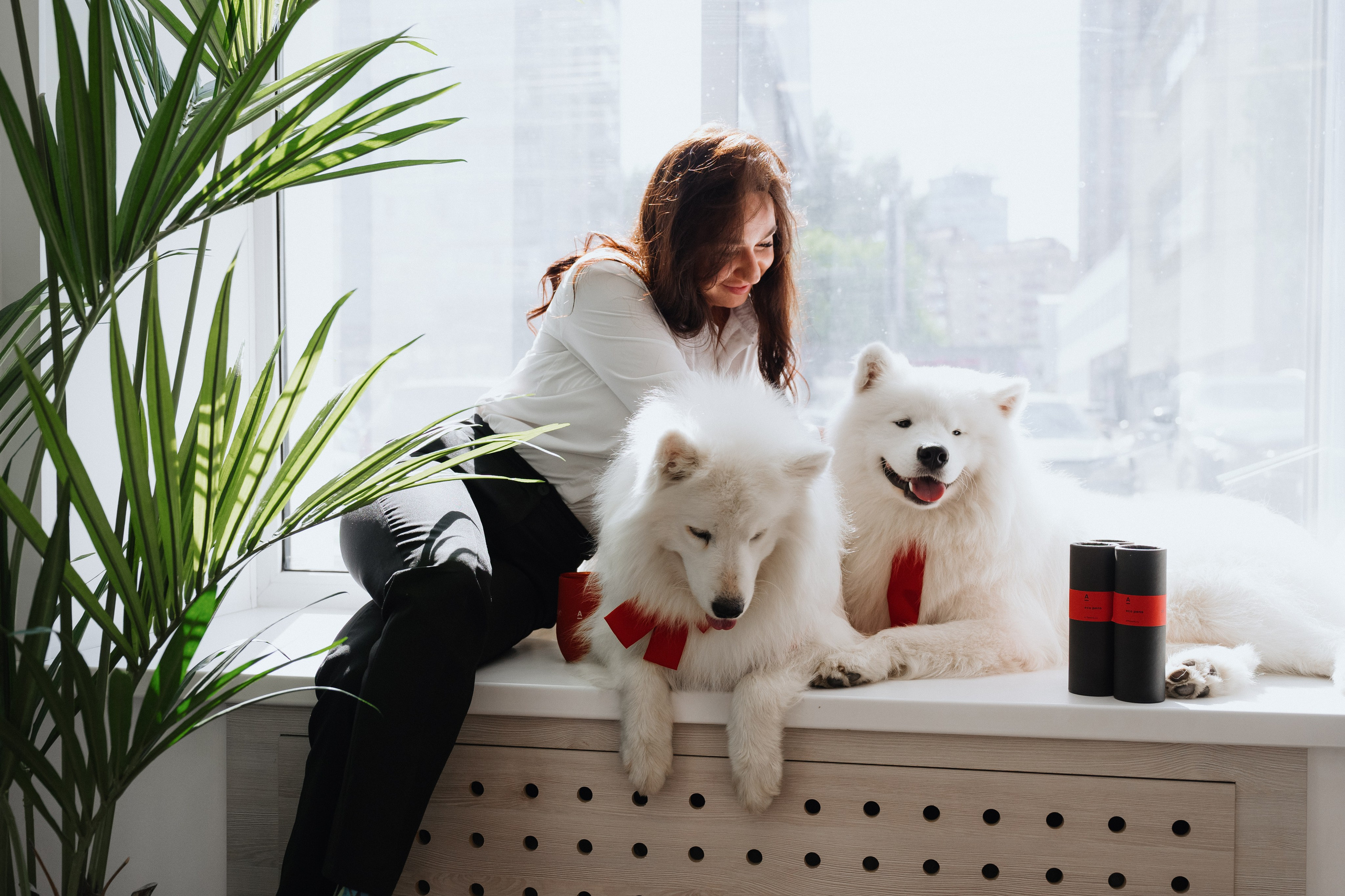 Фотосессия с самоедами