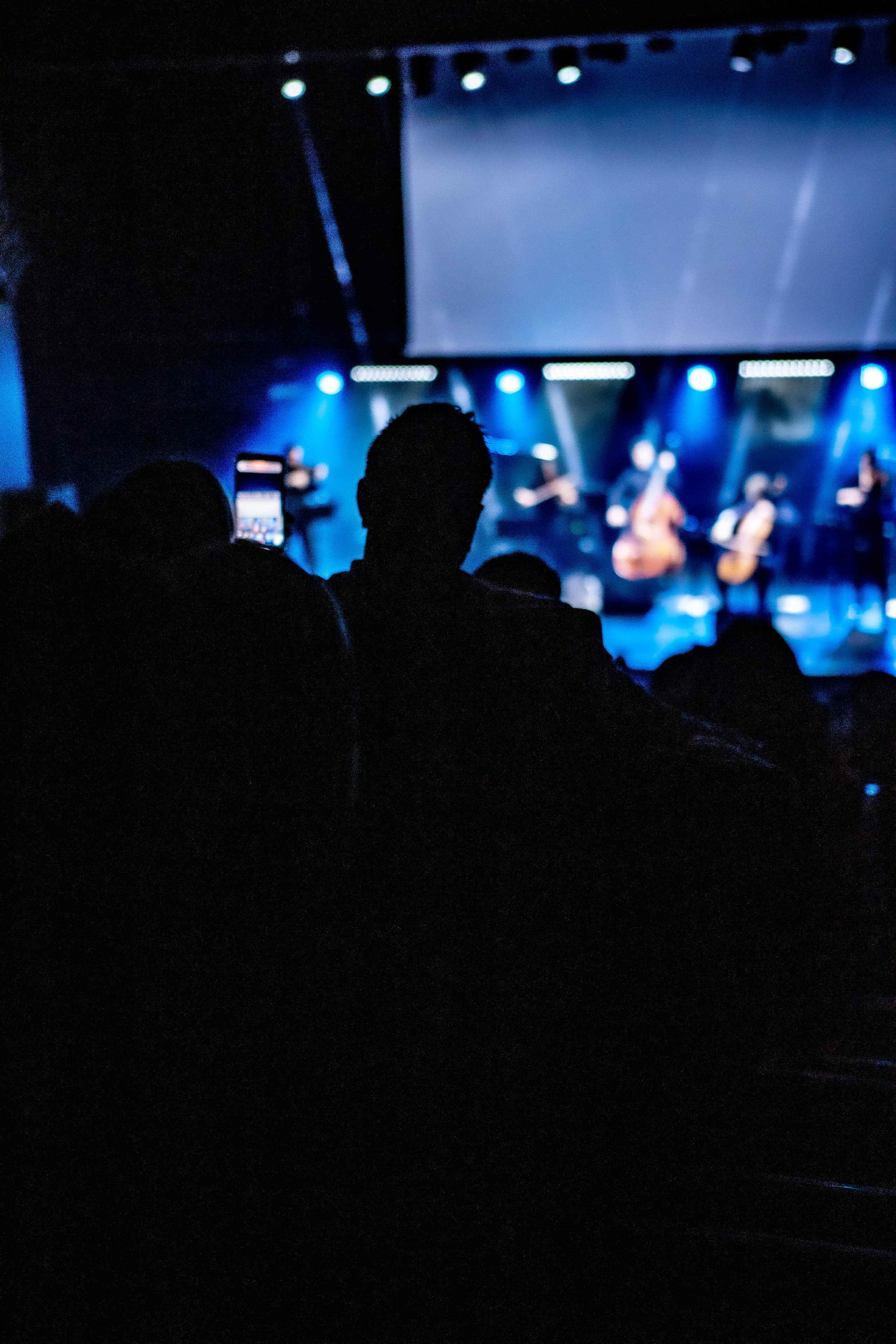 Концерт симфонического оркестра «Cinematica». Фотограф Шагалов Михаил