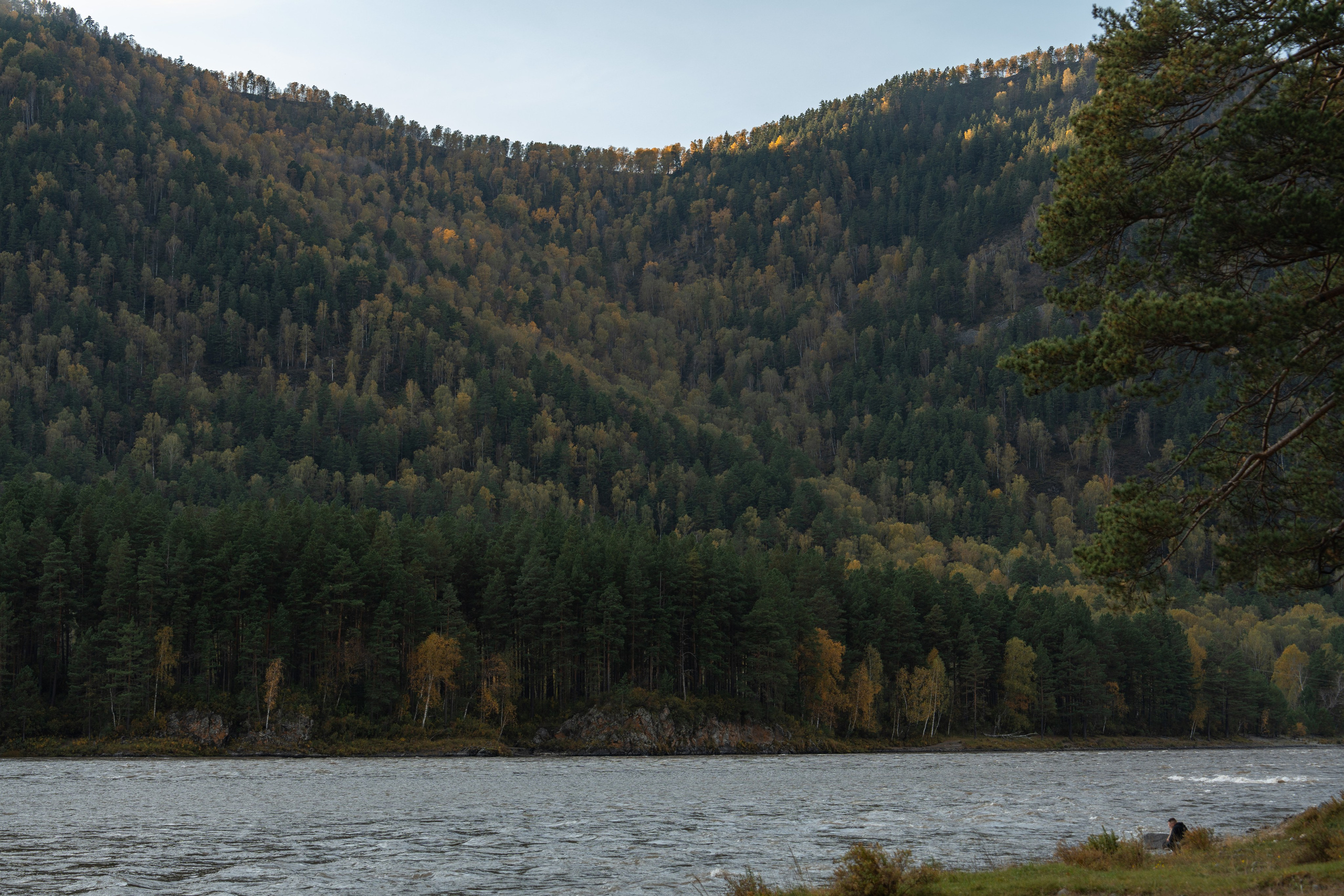 Семейная фотосессия в Москве для большой семьи. Свадебный фотограф в Москве Анна Полушина