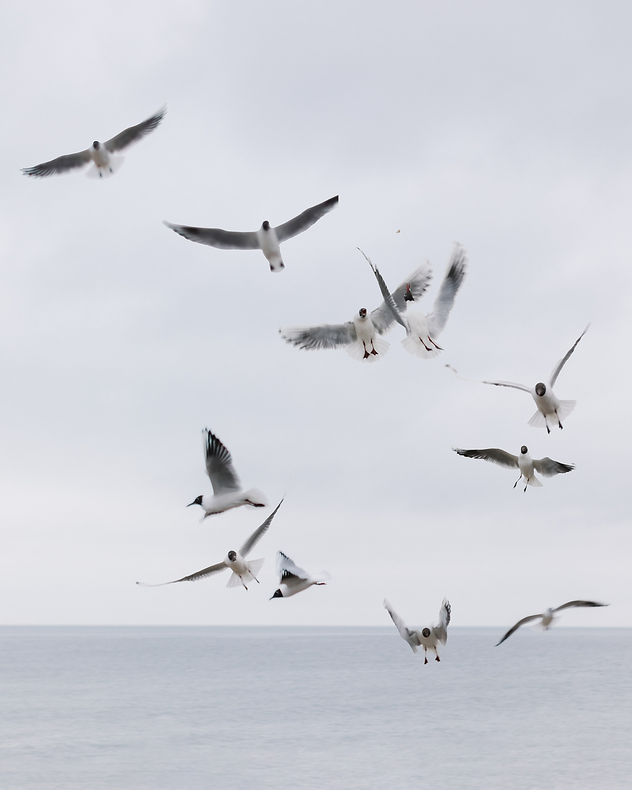 Life. Лена Крутова. Фотограф в Москве
