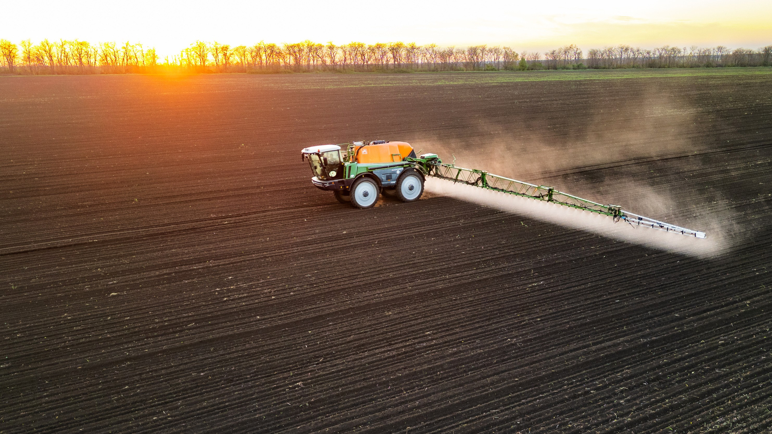 Проекты. Профессиональный фотограф Вячеслав Плацында | Липецк |