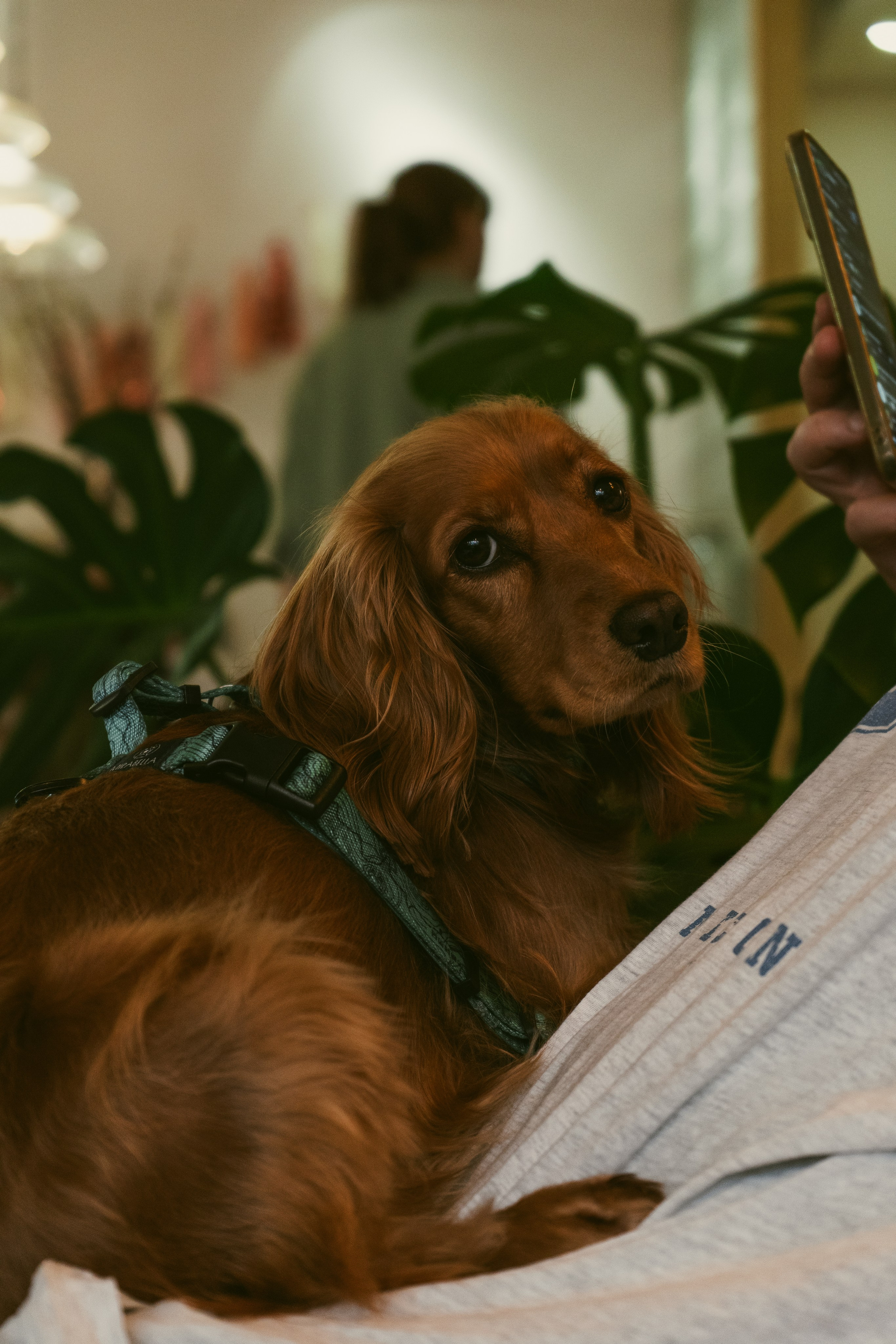 Услуги. Oljoy.ph — photographer in Minsk