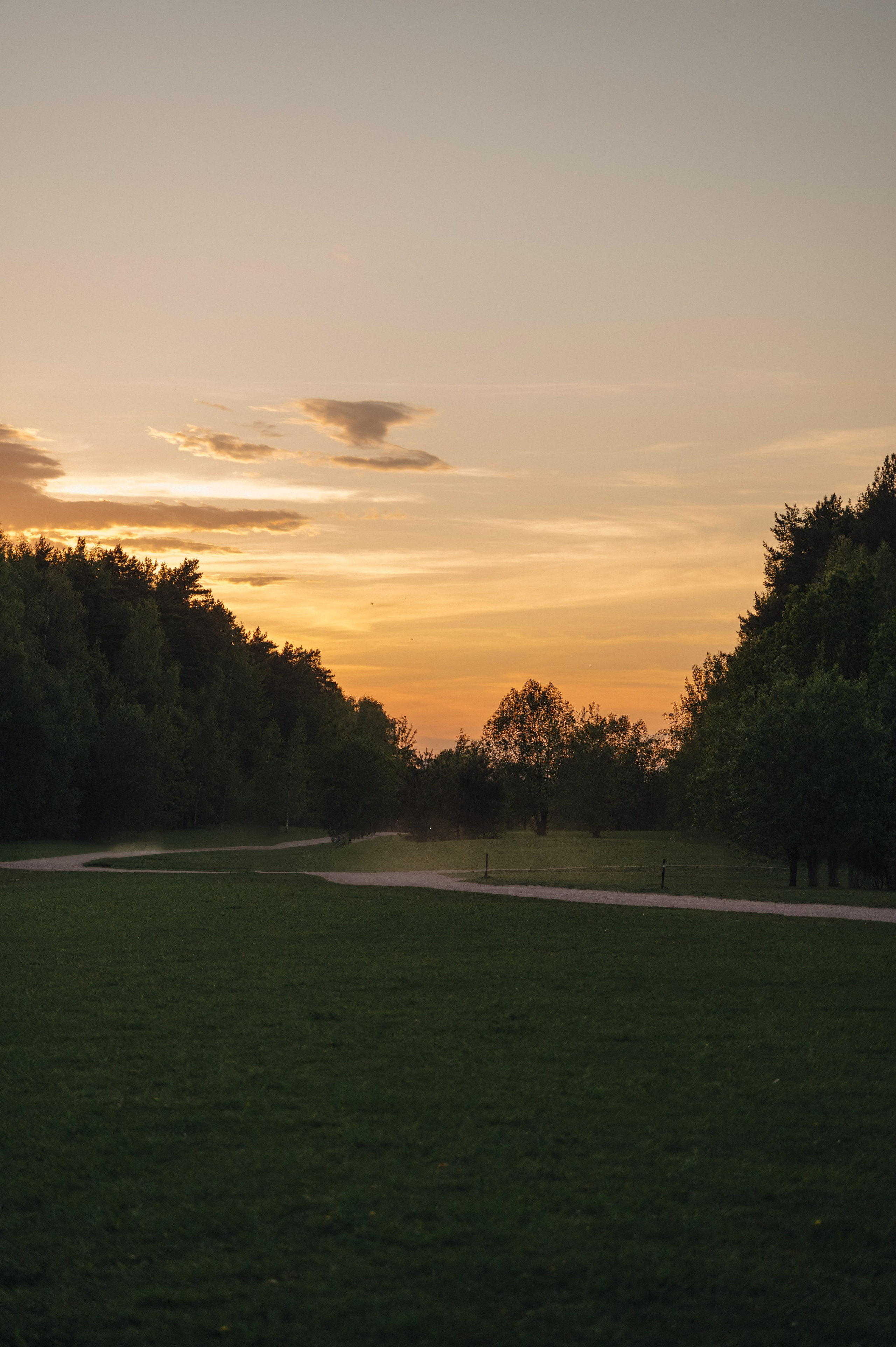 Лиза и Вася. Свадебный фотограф Москва и Санкт-Петербург. Анастасия Чудина