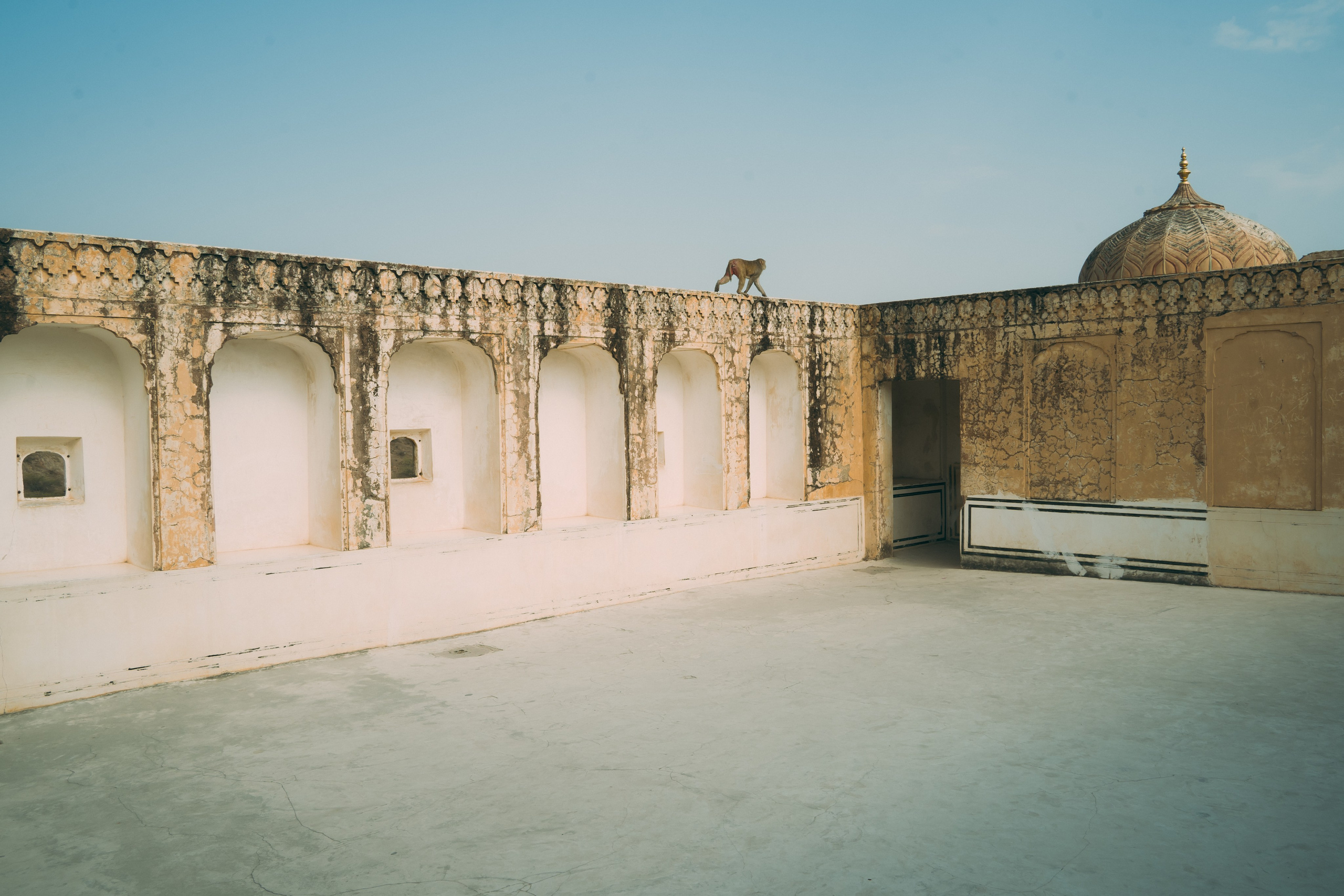 Истории старого Ханумана. Shaltay Gallery