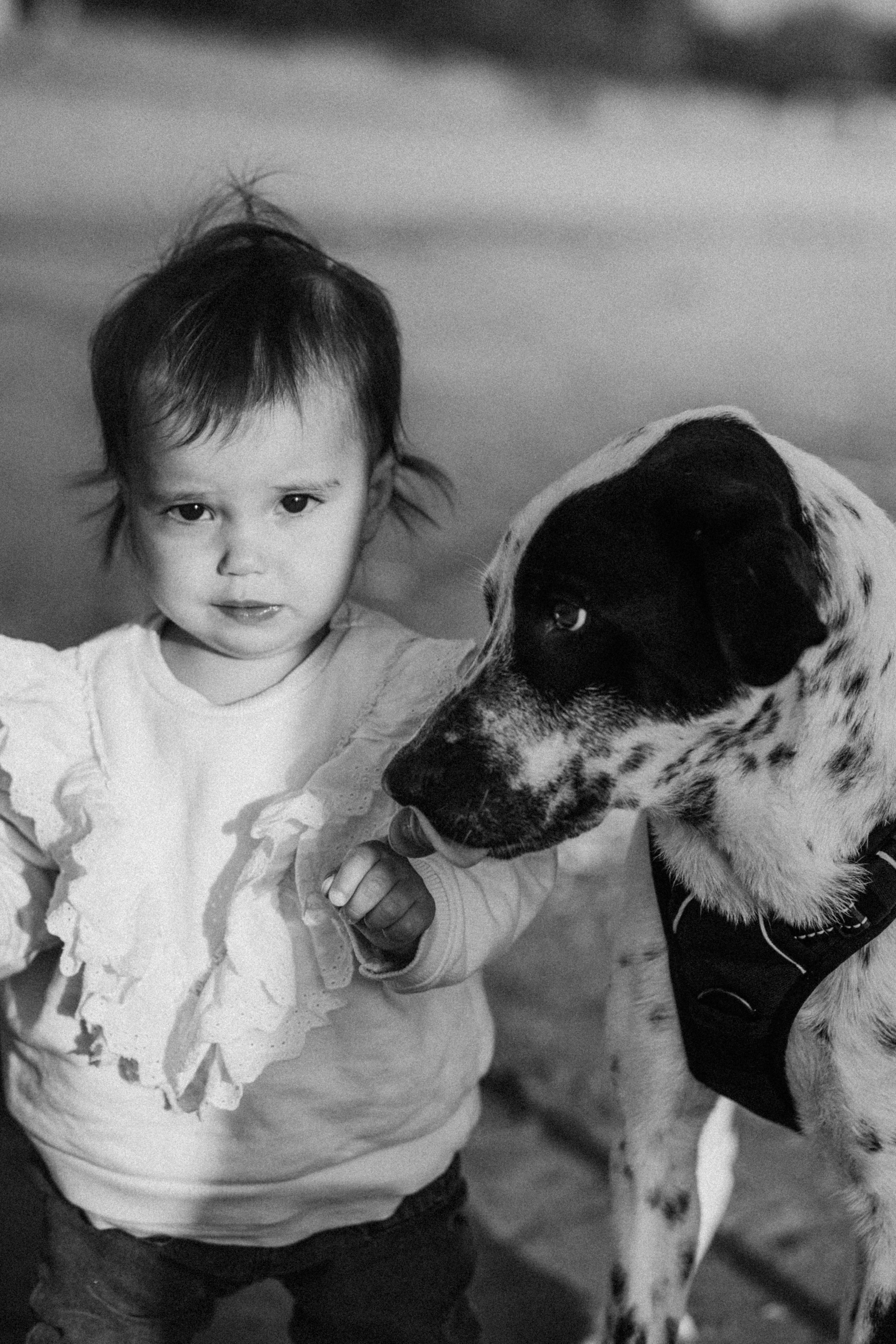 Женя + Даня + Мия. Лайфстайл фотограф в Чебоксарах и Санкт-Петербурге Тоня Бекнёва