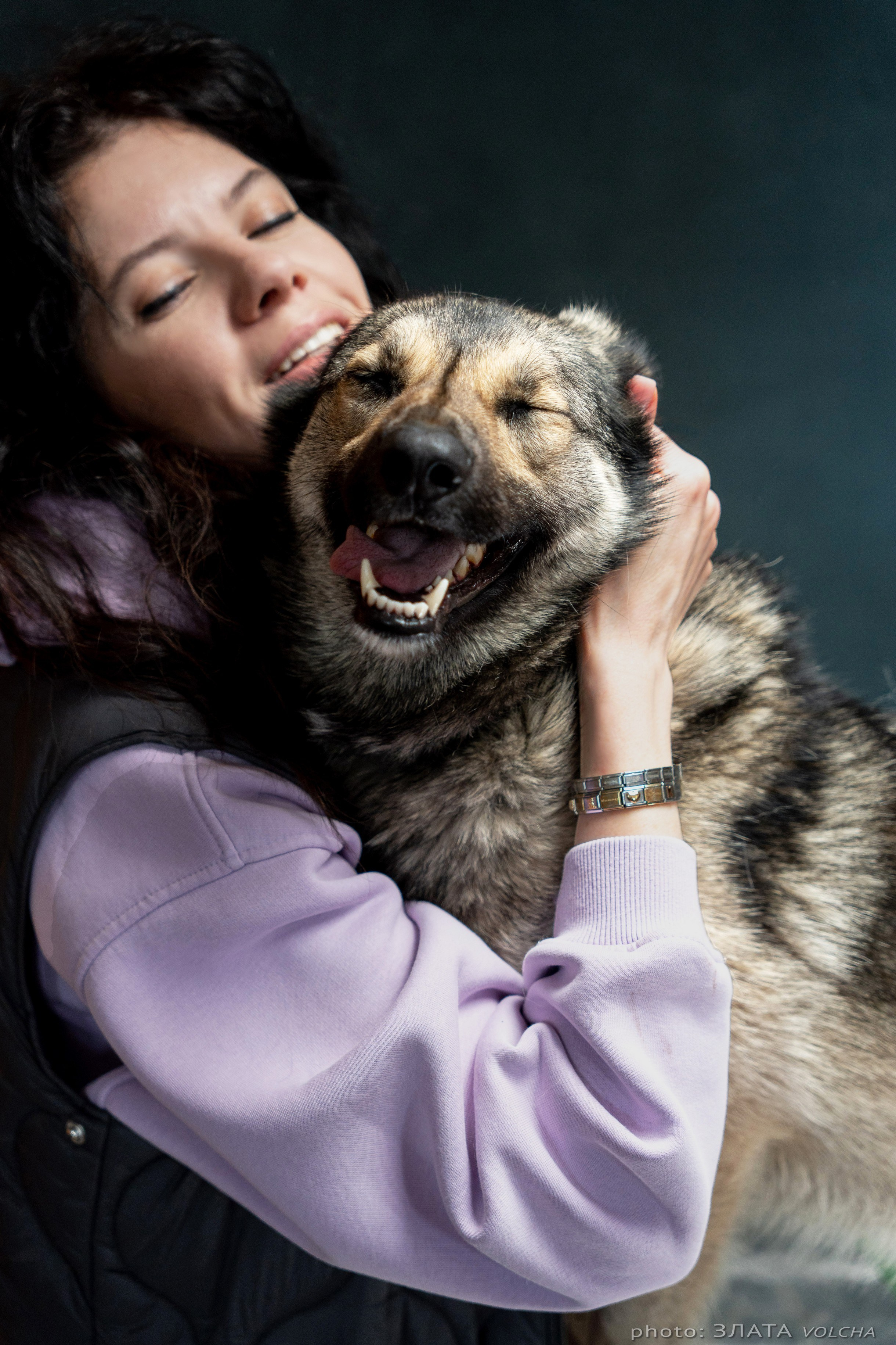 Собаки в студии. Фото, видео, монтаж