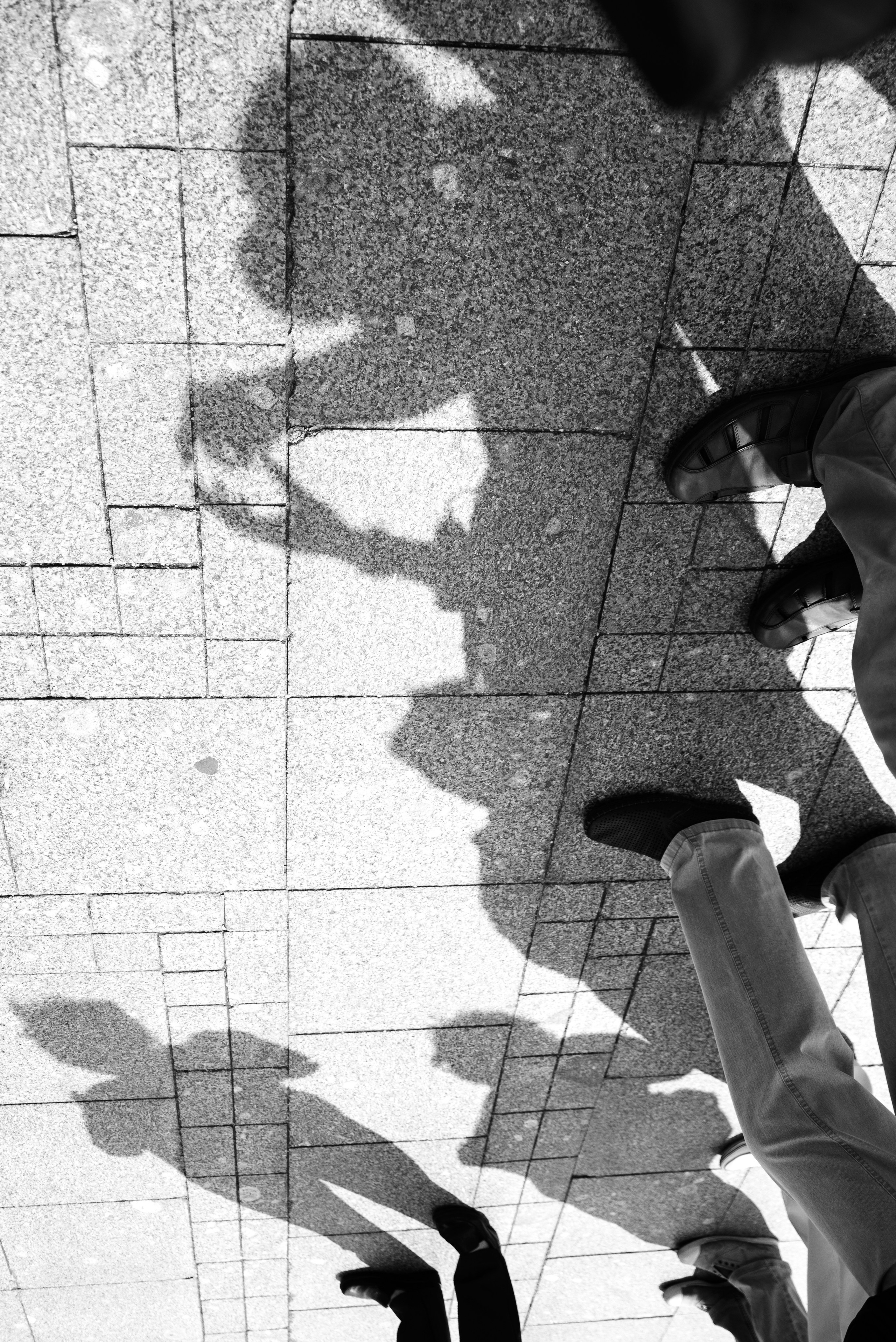 Репортаж. Фото, видео, монтаж