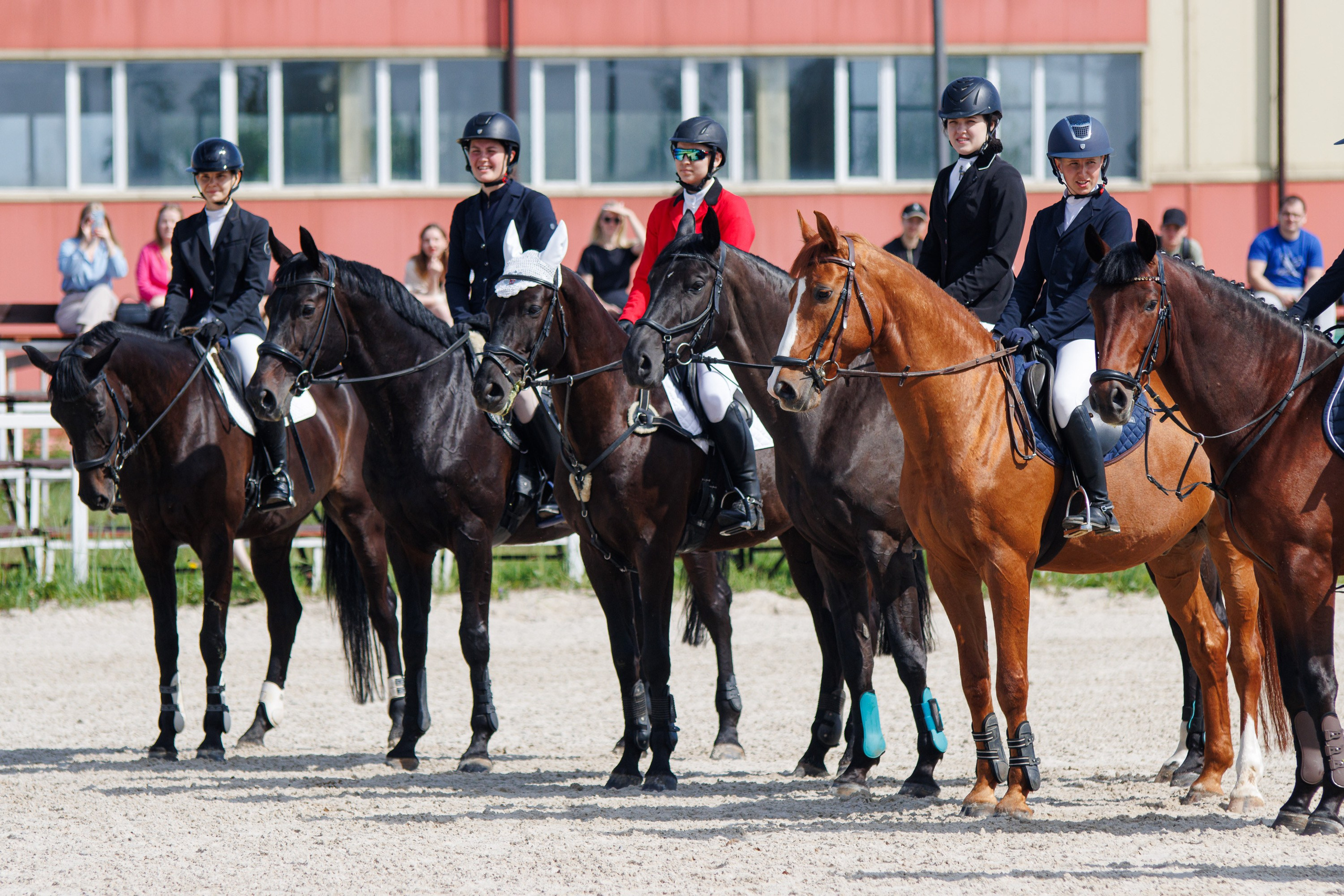Конный спорт. Спортивный фотограф Вадим Добедченков
