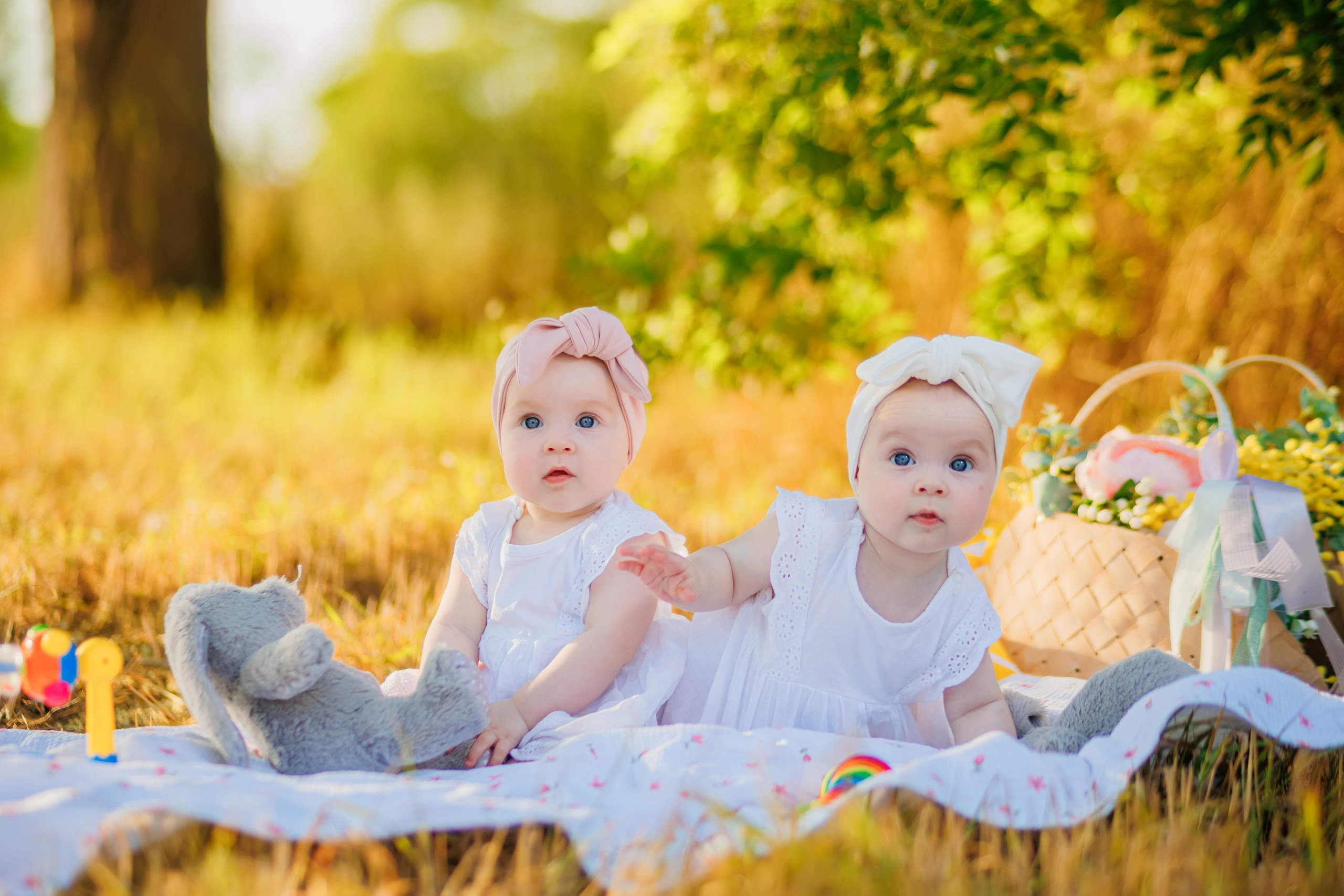 Прогулка на природе. Свадебный и семейный фотограф в Армавире