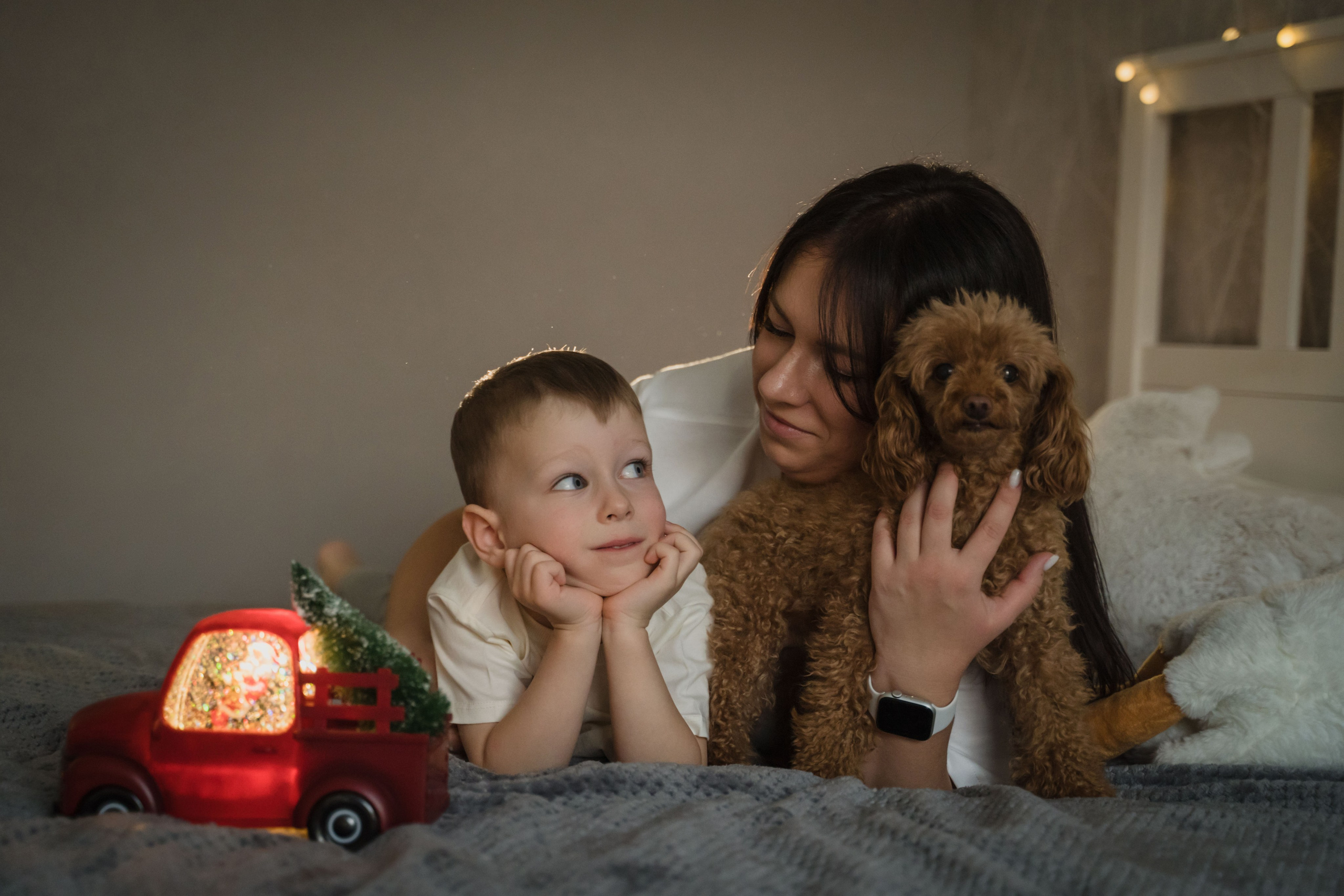 Предновогодний вечер. Главная