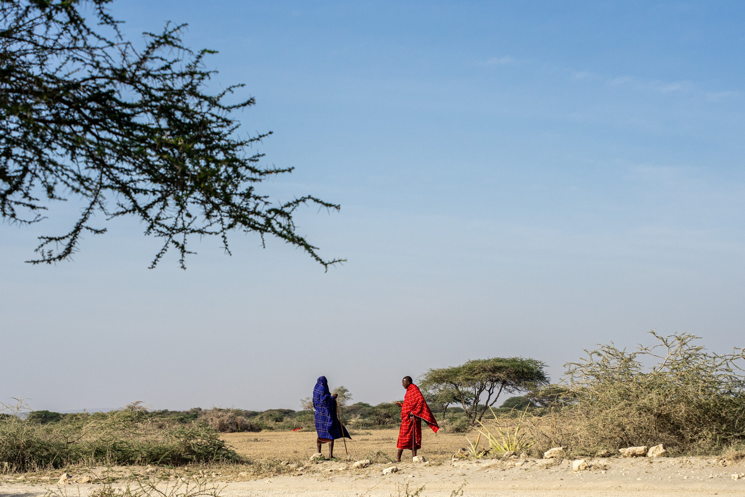Танзания, сафари, 2025. Творческие сьемки