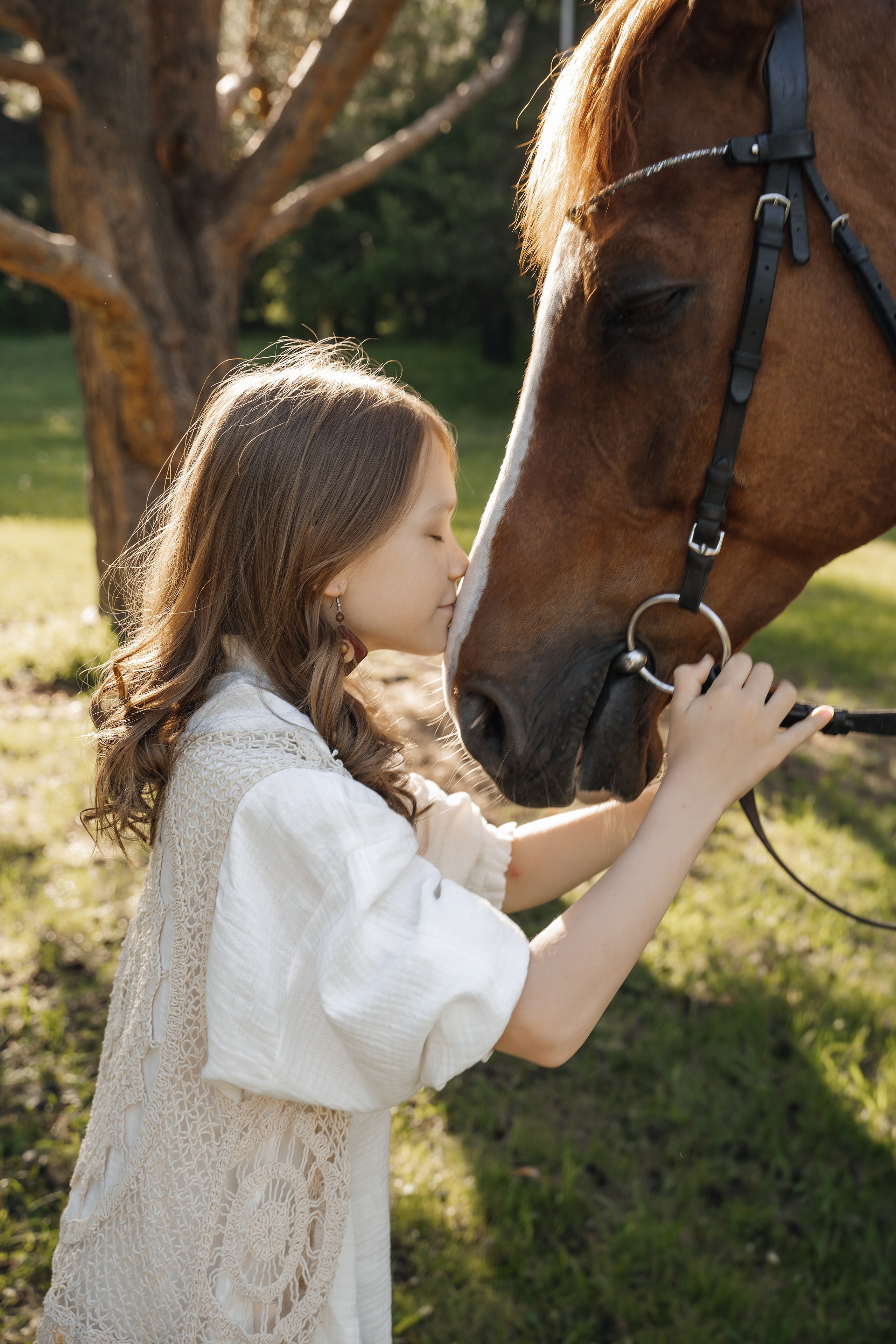 Семейная история с лошадьми. Главная