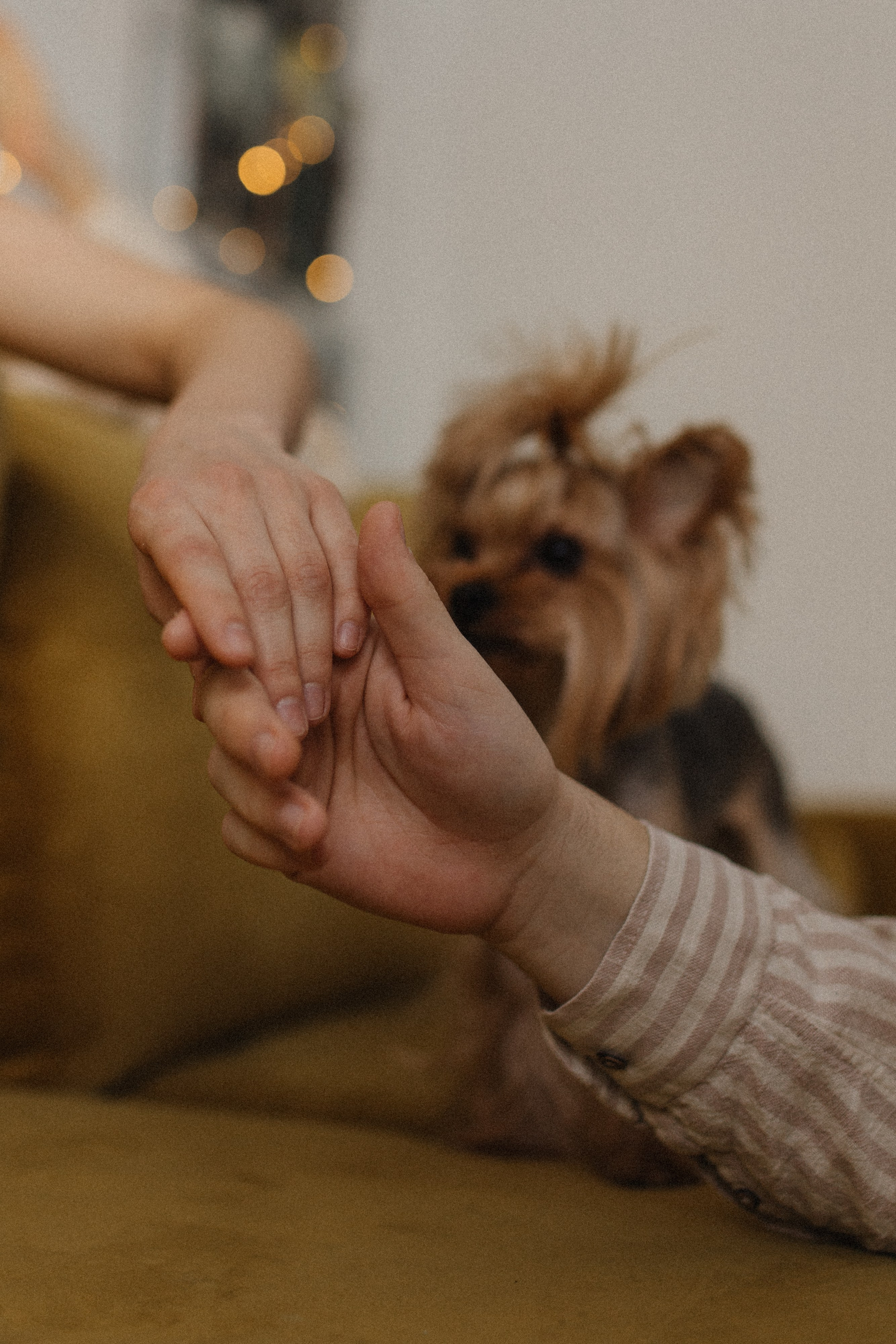 Дом там, где ты. Фотограф Диана Хасанова, г. Казань