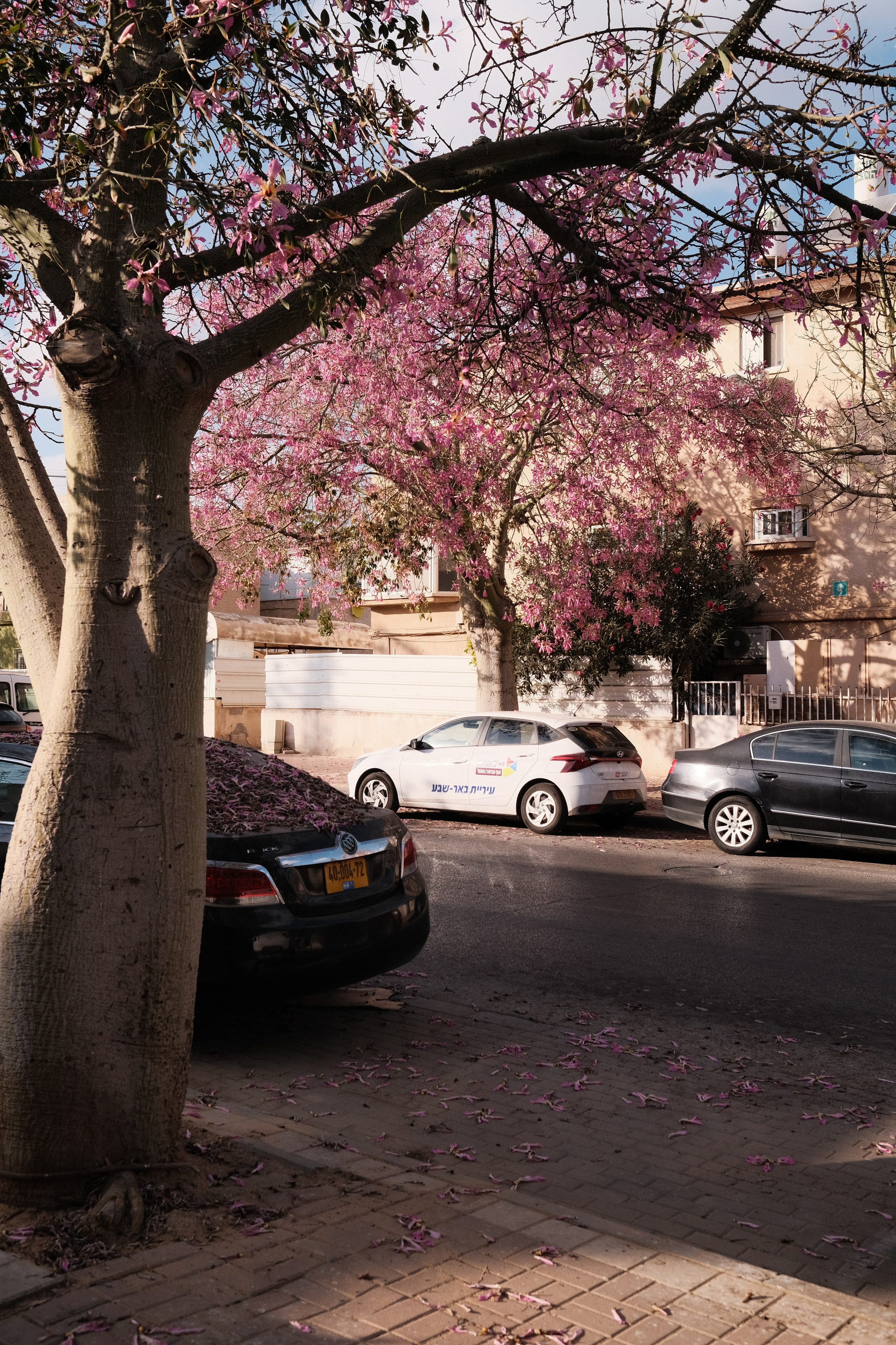 Стрит-фотография в Санкт-Петербурге — фотосессия | Филипп Линзин. Репортажный и портретный фотограф в Санкт-Петербурге Филипп Линзин