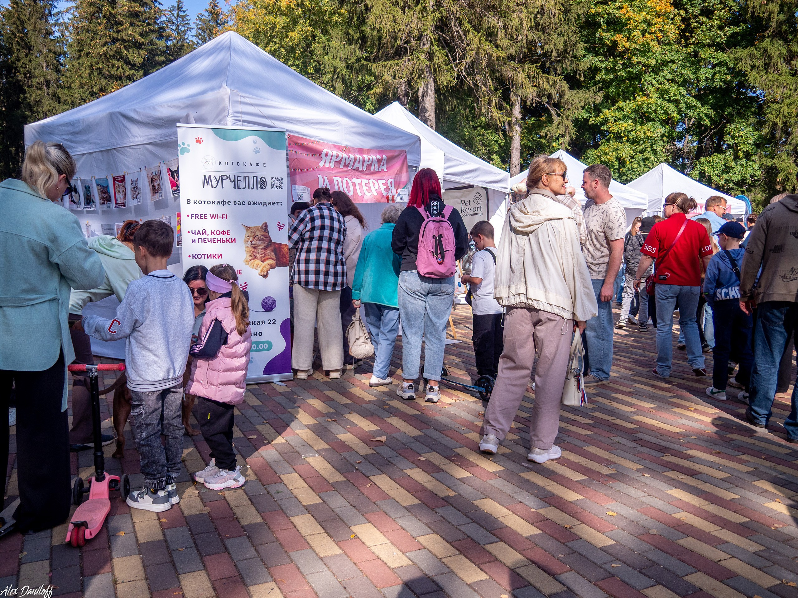 Обнимака 2025. Муром-Инфо. Новости культуры, образования, спорта в городе Муром