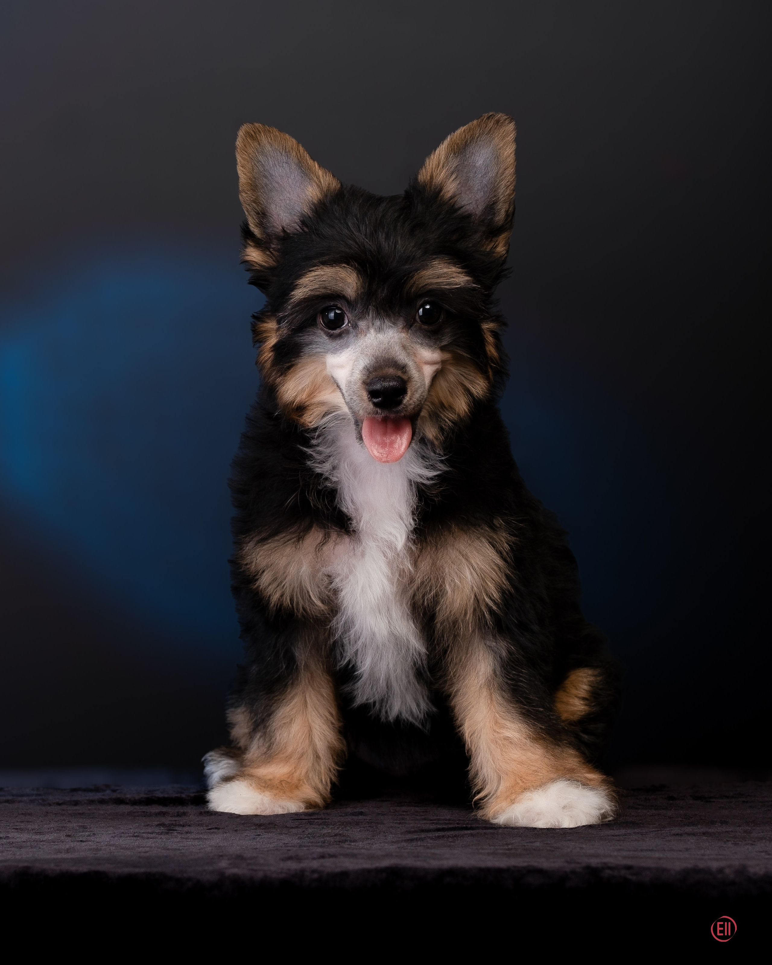 07.06.2025 Синяя фотосессия. Фотограф в Москве