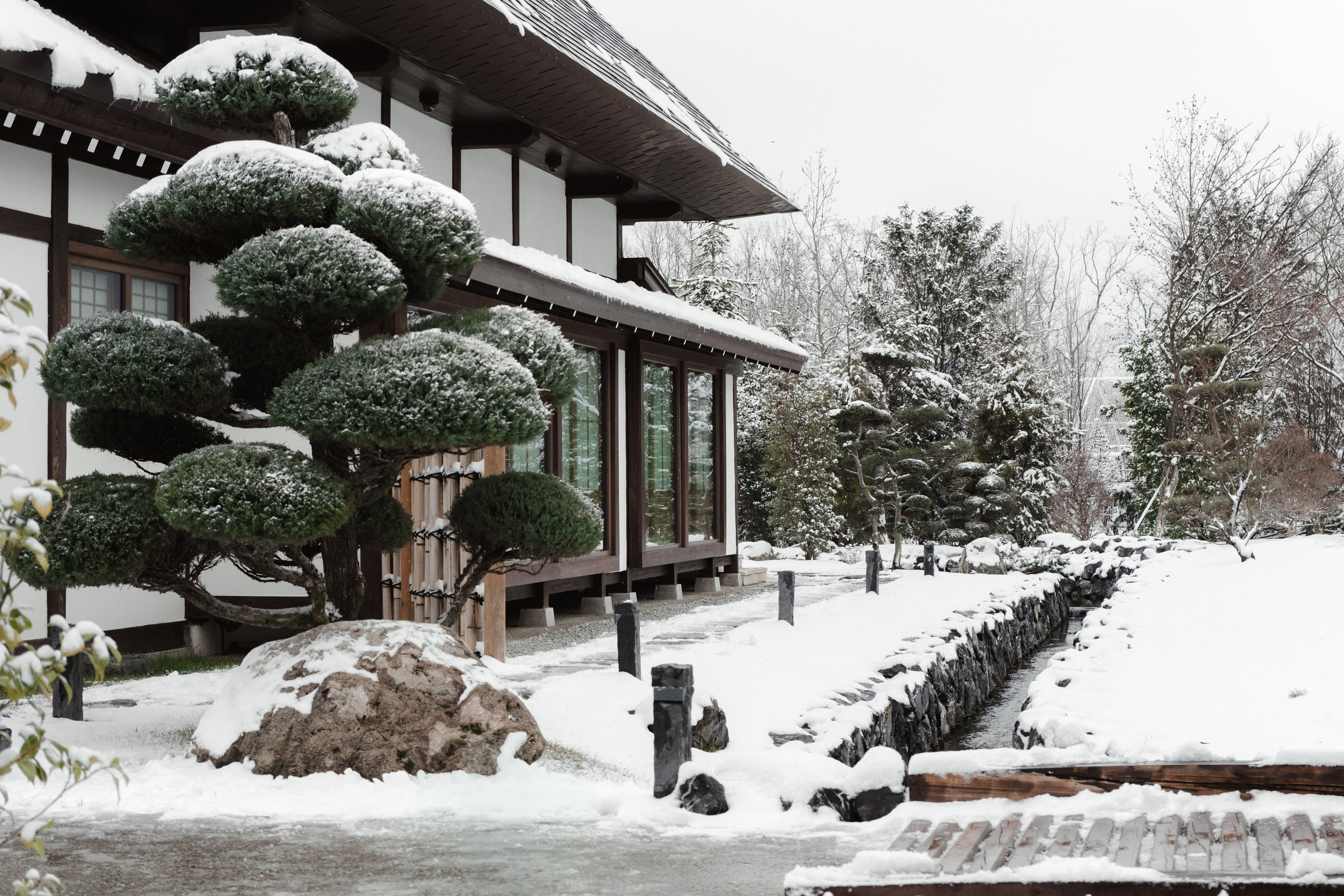 Japanese Garden in Krasnodar. Ekaterina Symidi. Interior Photographer