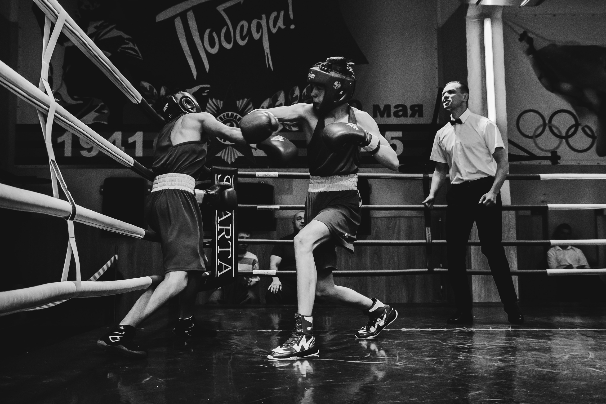 Бокс — РЗН — 26.04.2025. Фотограф в Рязани — Кузнецов Михаил