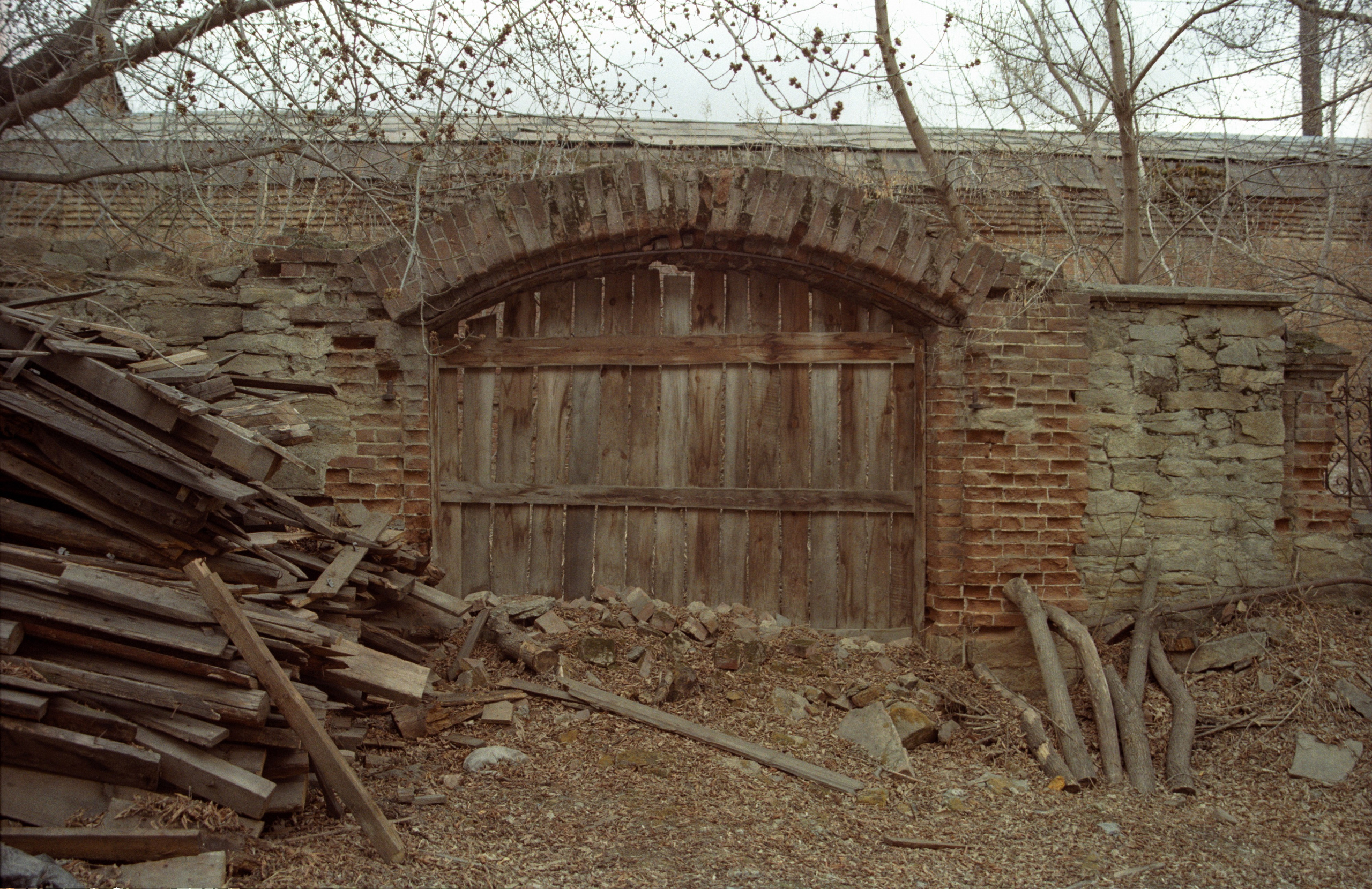 Родина. Фотограф в Санкт-Петербурге Березовский Даниил