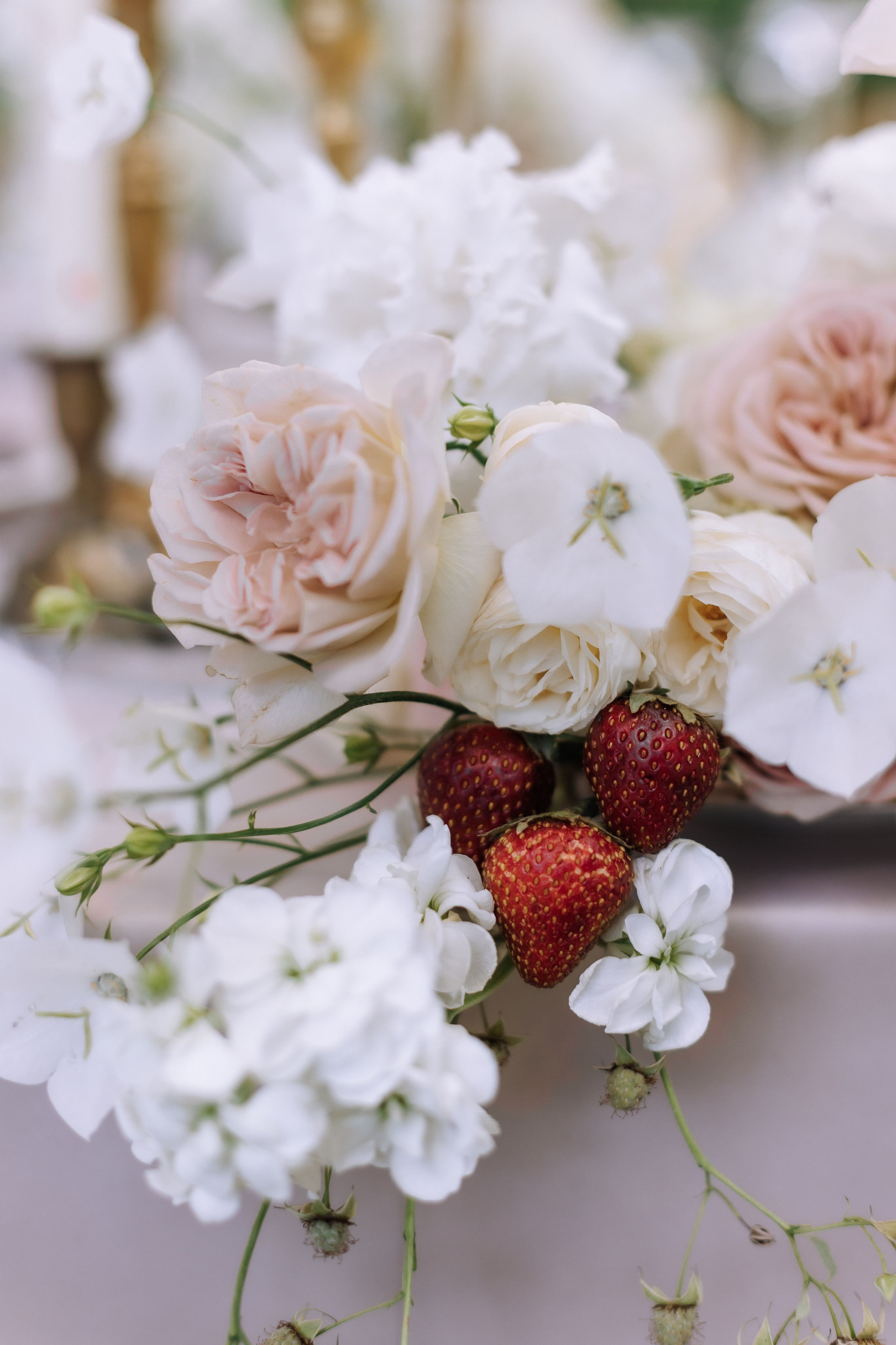 Dmitry & Diana. Главная