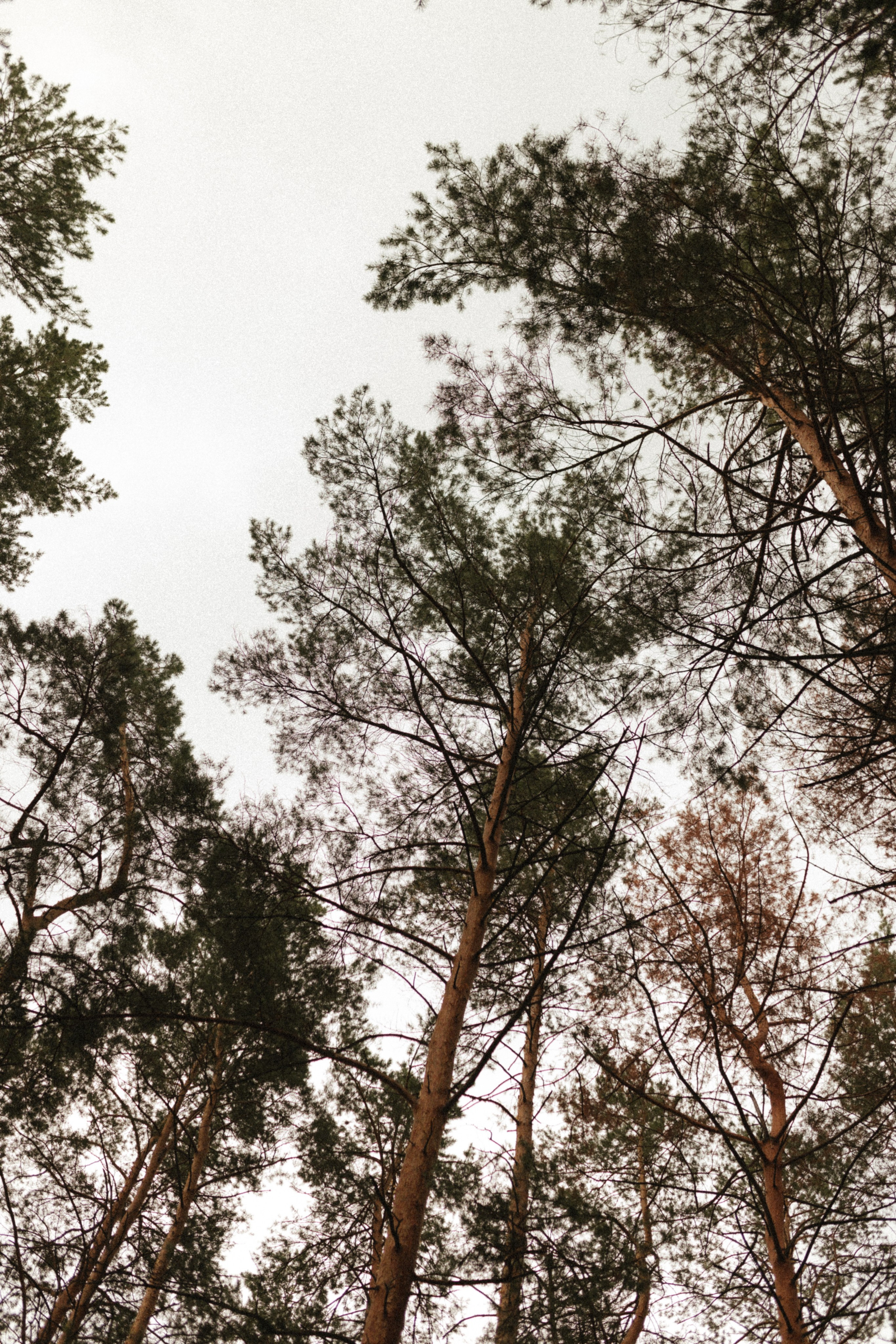 Дождливый день. Свадебный и семейный фотограф в Самаре и Москве