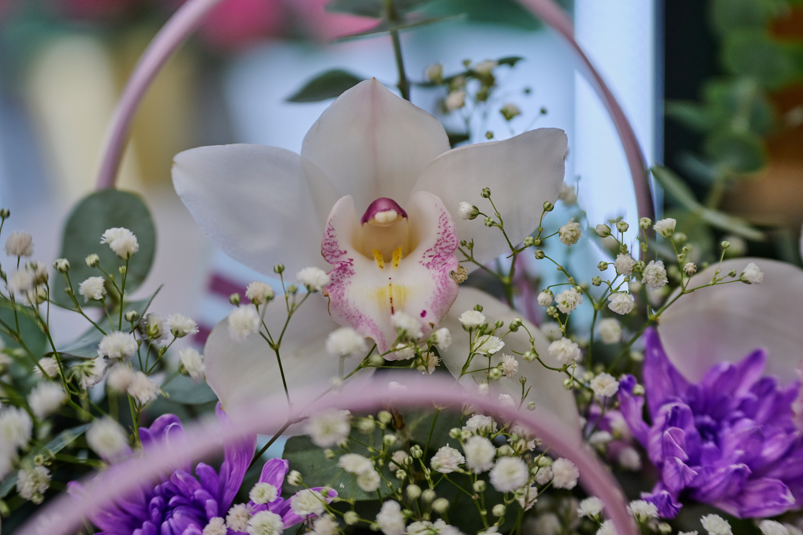 Лисичанск (Луганская область). Декабрь 2024 года. Фотограф Роман Адлер