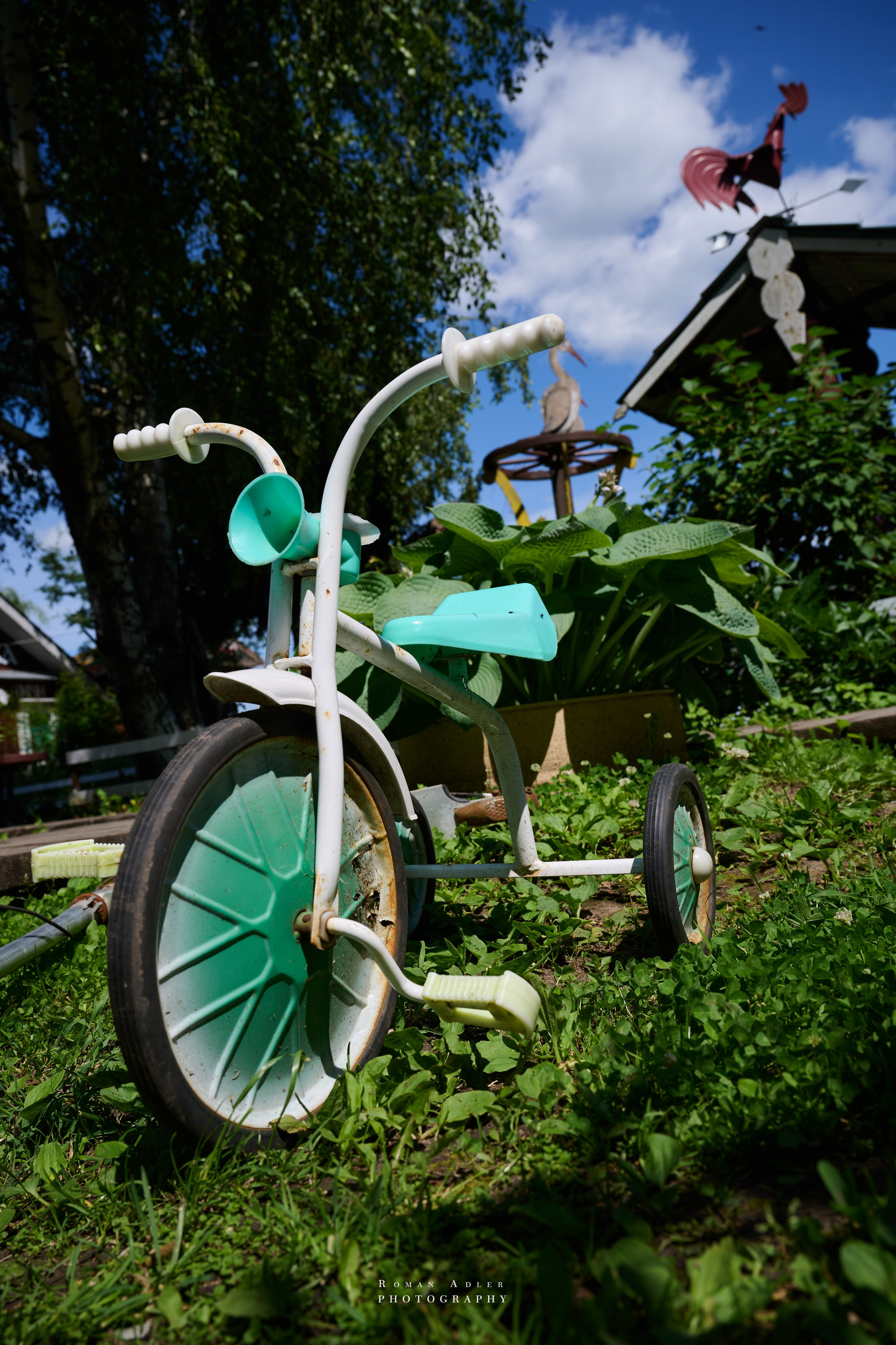 Суздаль. Июнь 2025. Фотограф Роман Адлер