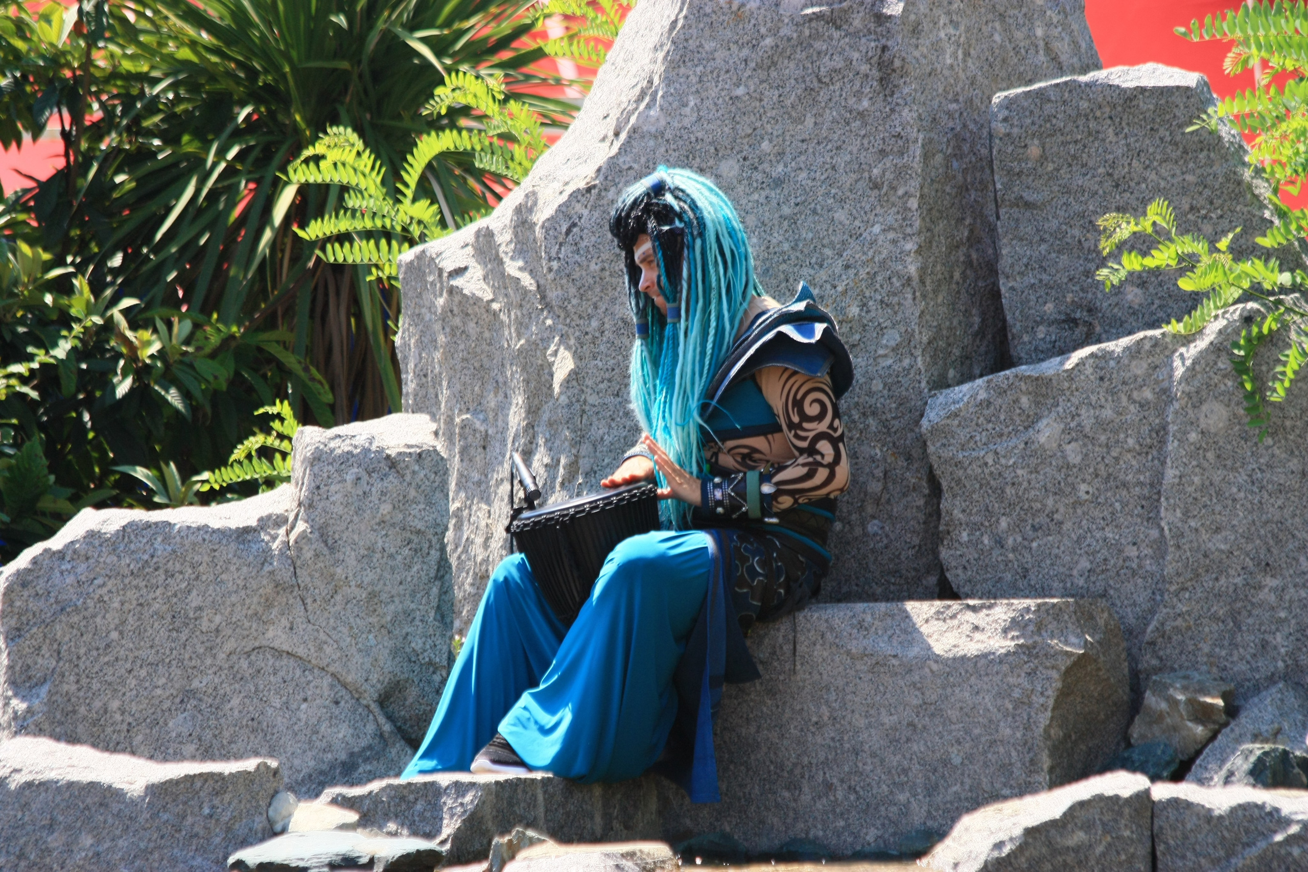 Первые кадры. Сочи — парк. Фотограф Роман Адлер