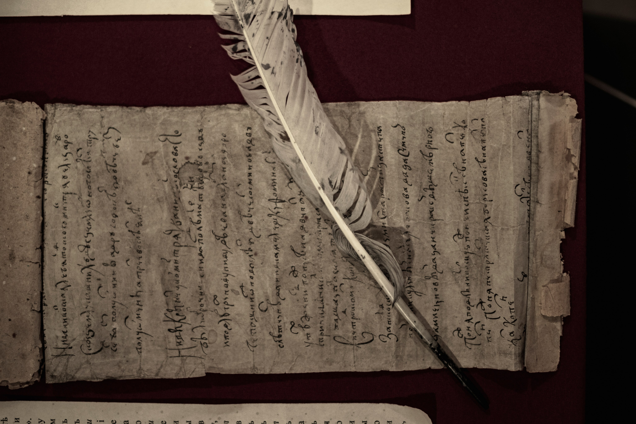 Псков. Октябрь 2023. Фотограф Роман Адлер