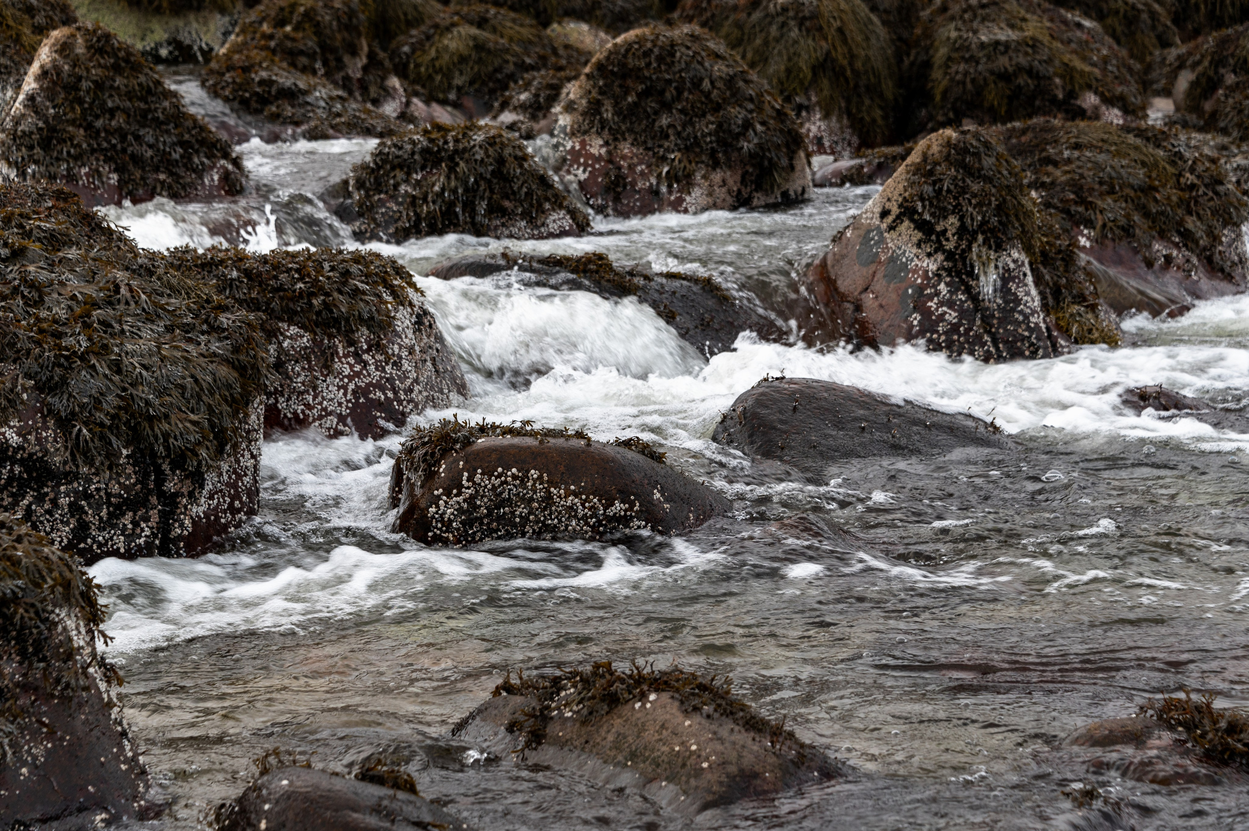 Териберка. Ноябрь 2023. Фотограф Роман Адлер