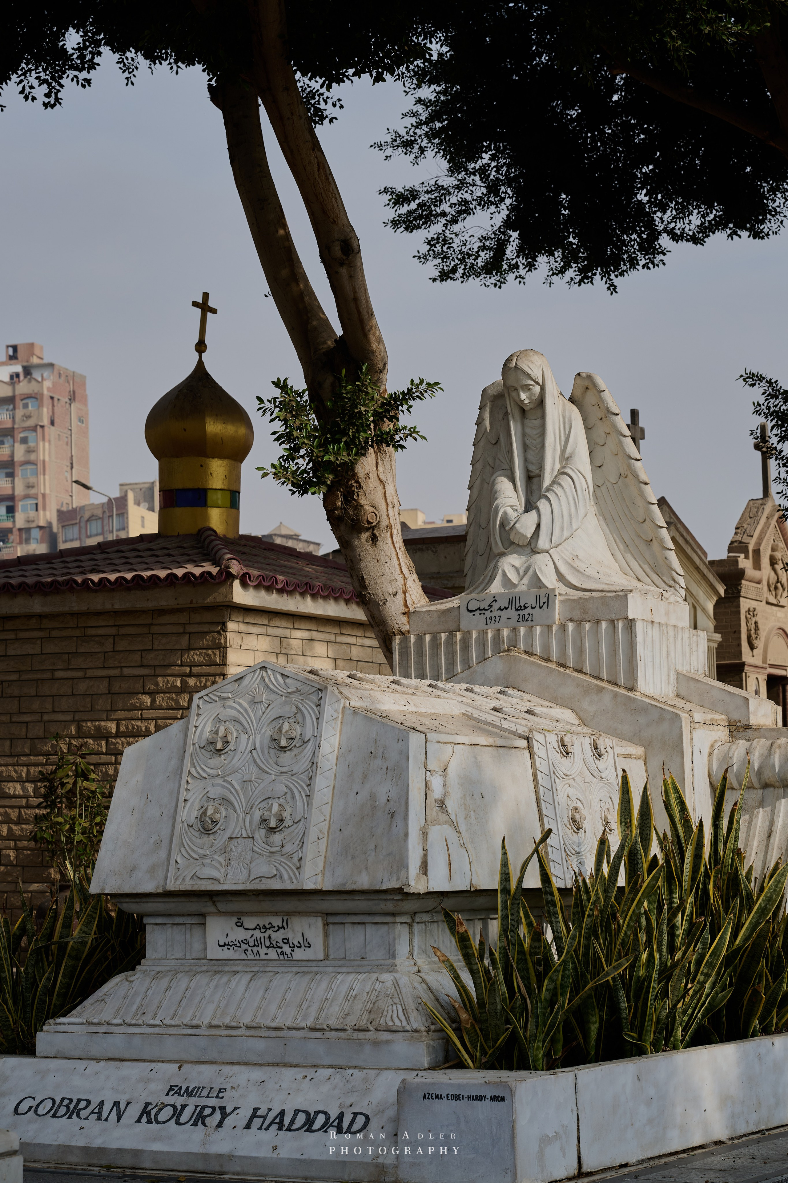 Каир. Февраль 2025. Фотограф Роман Адлер