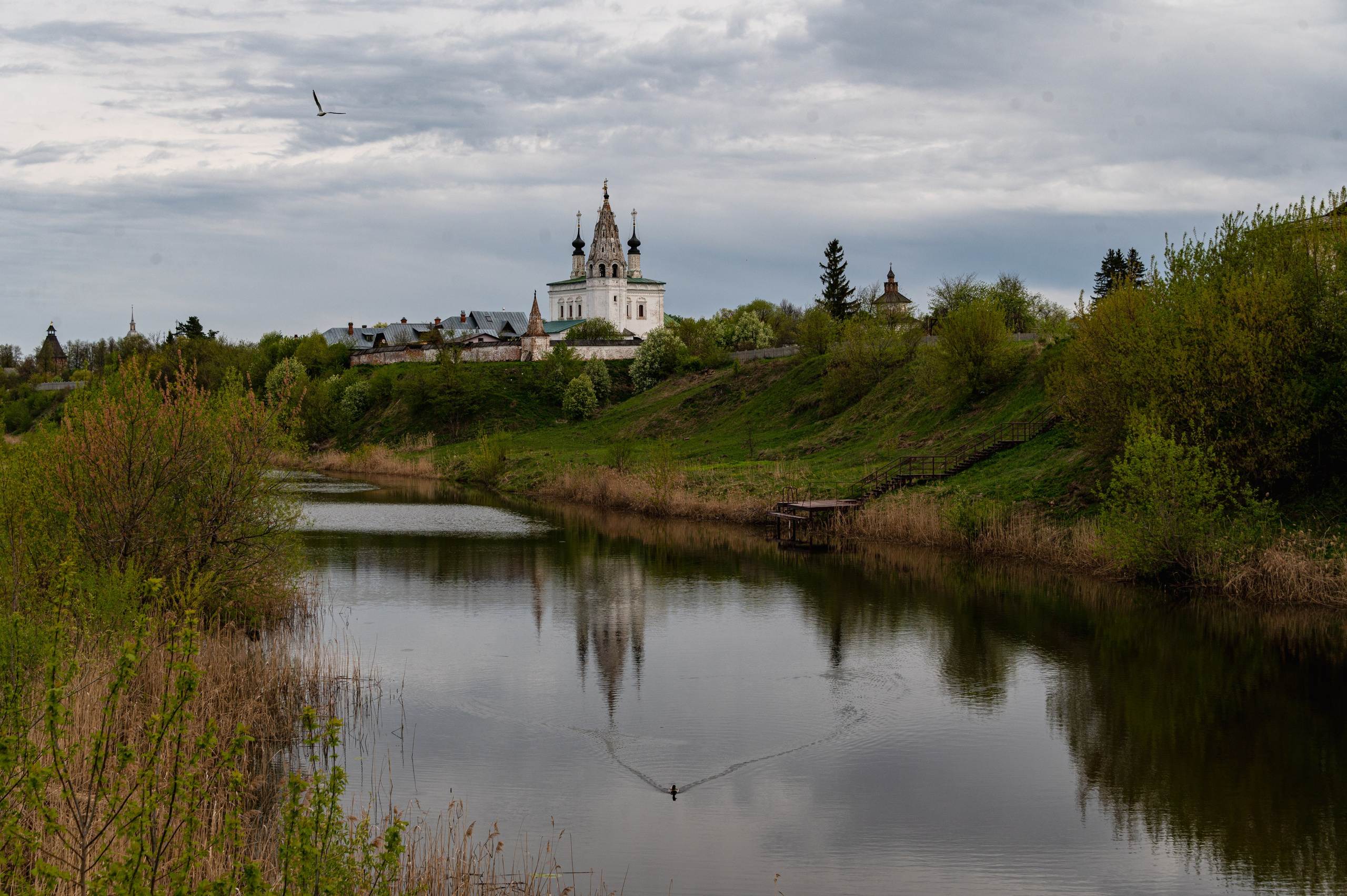 Суздаль. Май 2023. Фотограф Роман Адлер