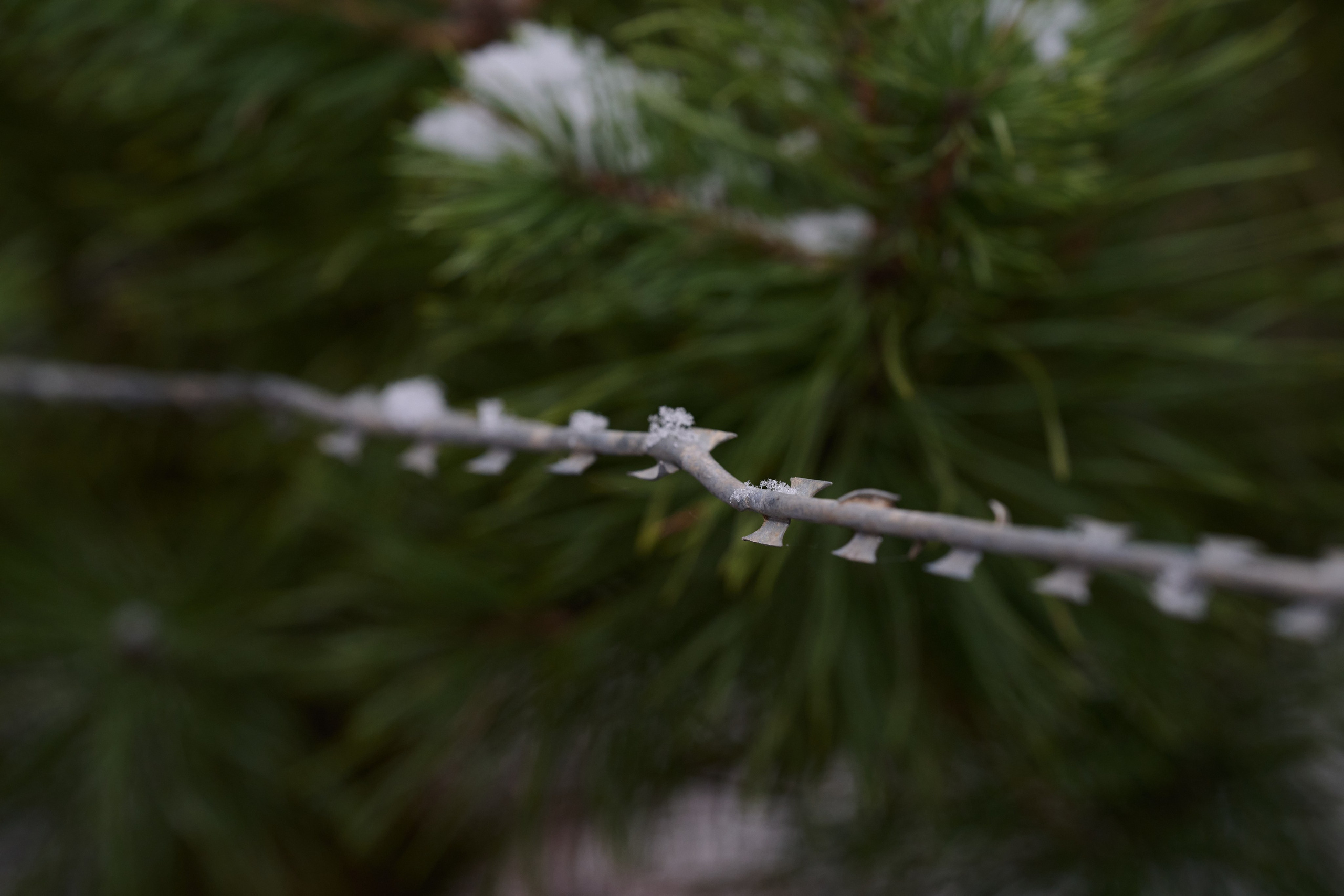 Будни съёмок фотопроекта Территории. Фотограф Роман Адлер
