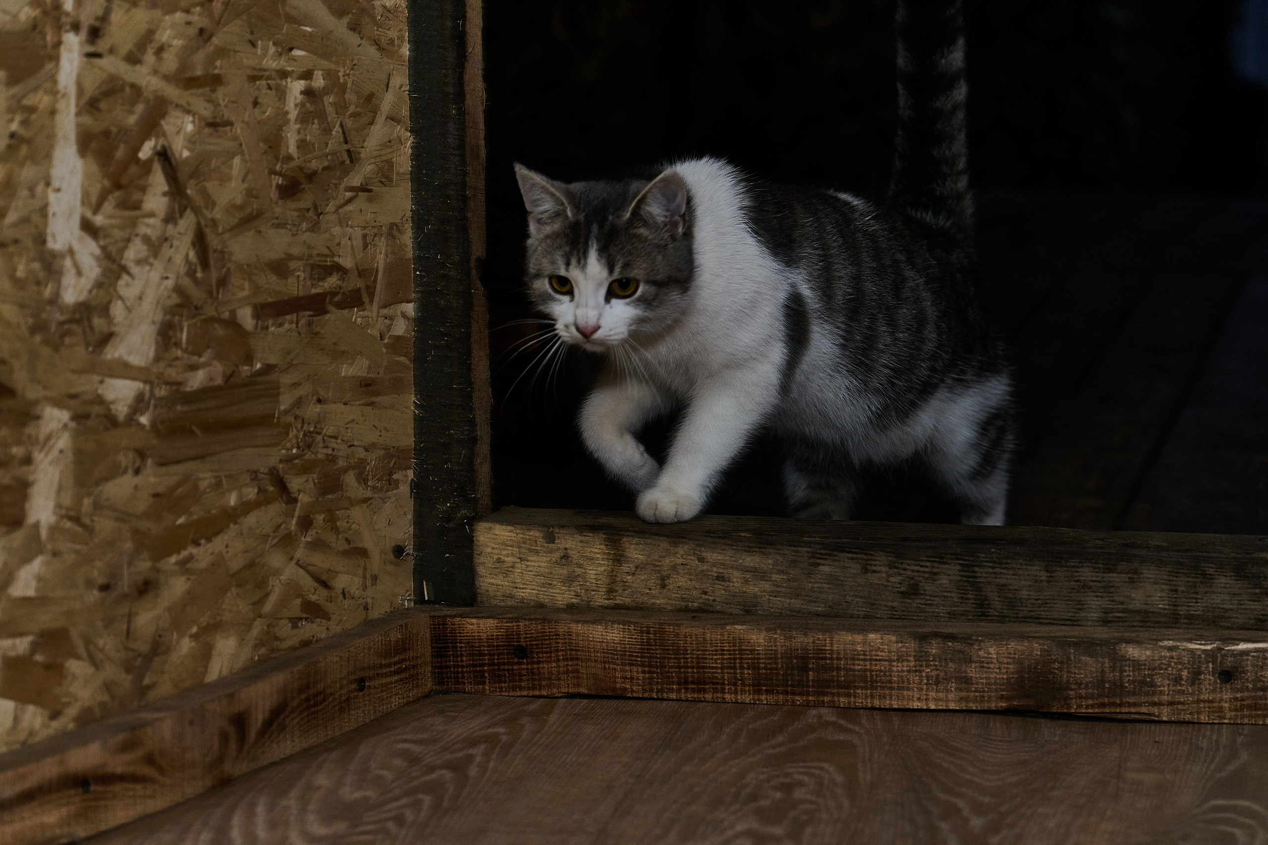 Съемки для фотопроекта Территории. Фотограф Роман Адлер